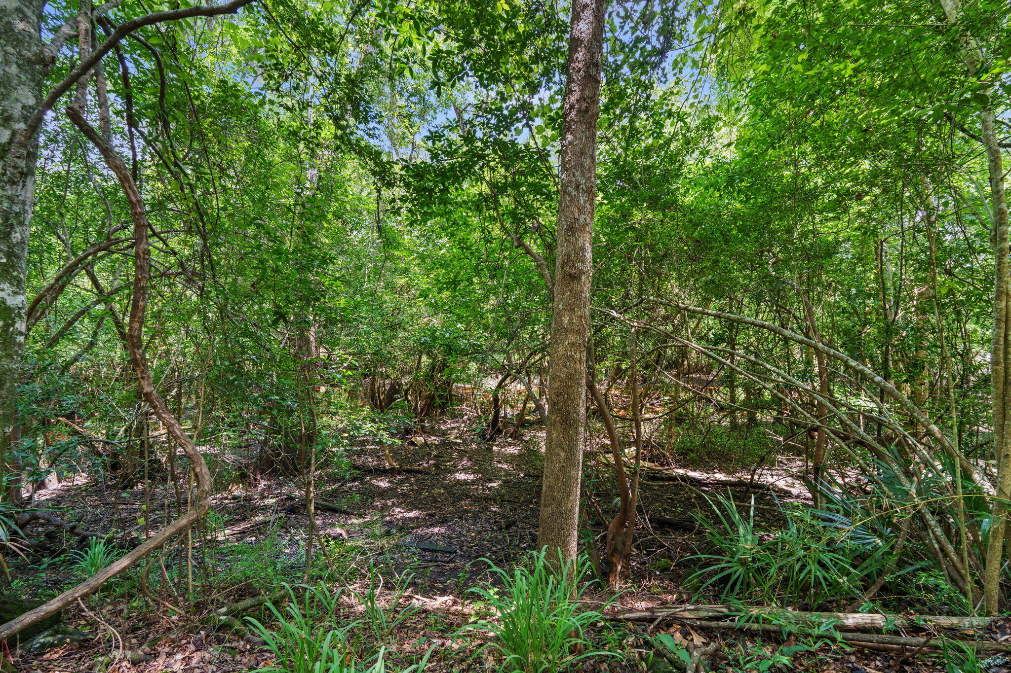 92 Howell Bluff Road Ponce De Leon FL 32455