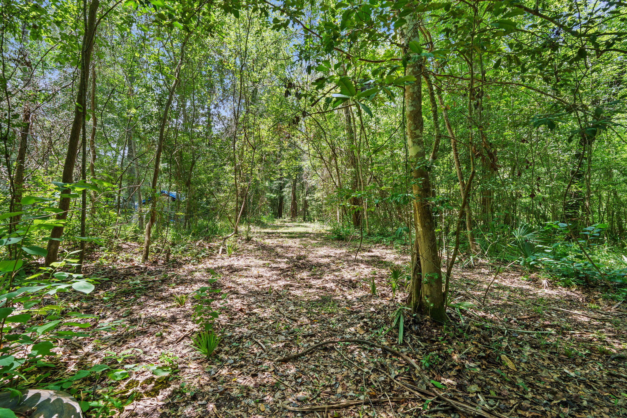 92 Howell Bluff Road Ponce De Leon FL 32455