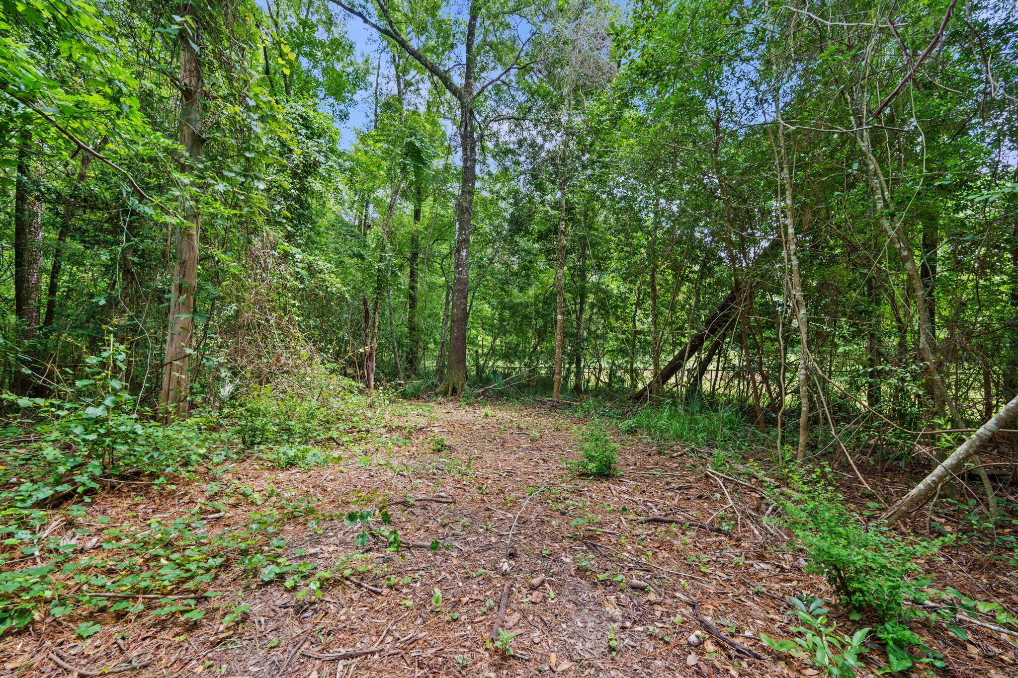 92 Howell Bluff Road Ponce De Leon FL 32455