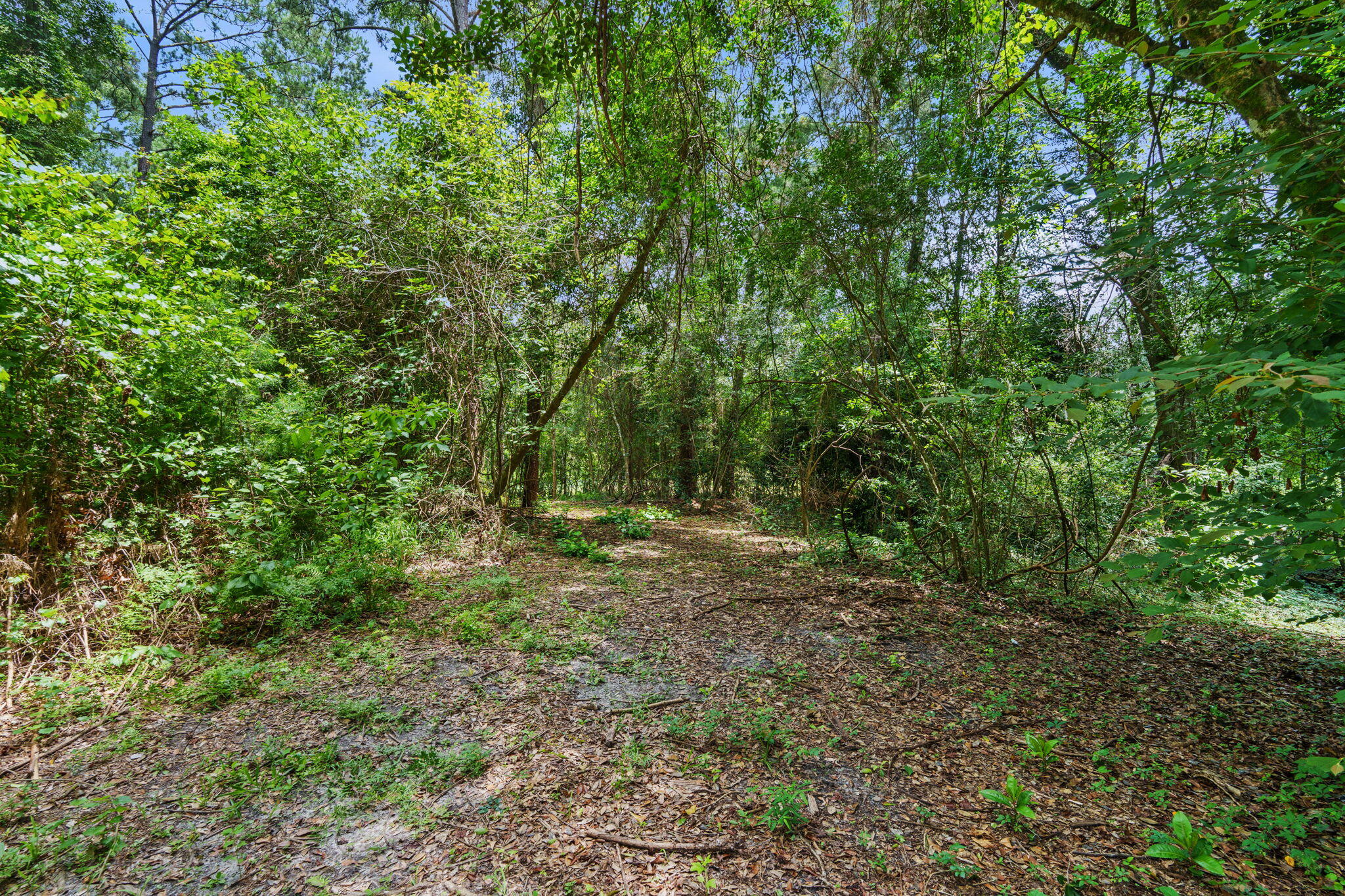 92 Howell Bluff Road Ponce De Leon FL 32455