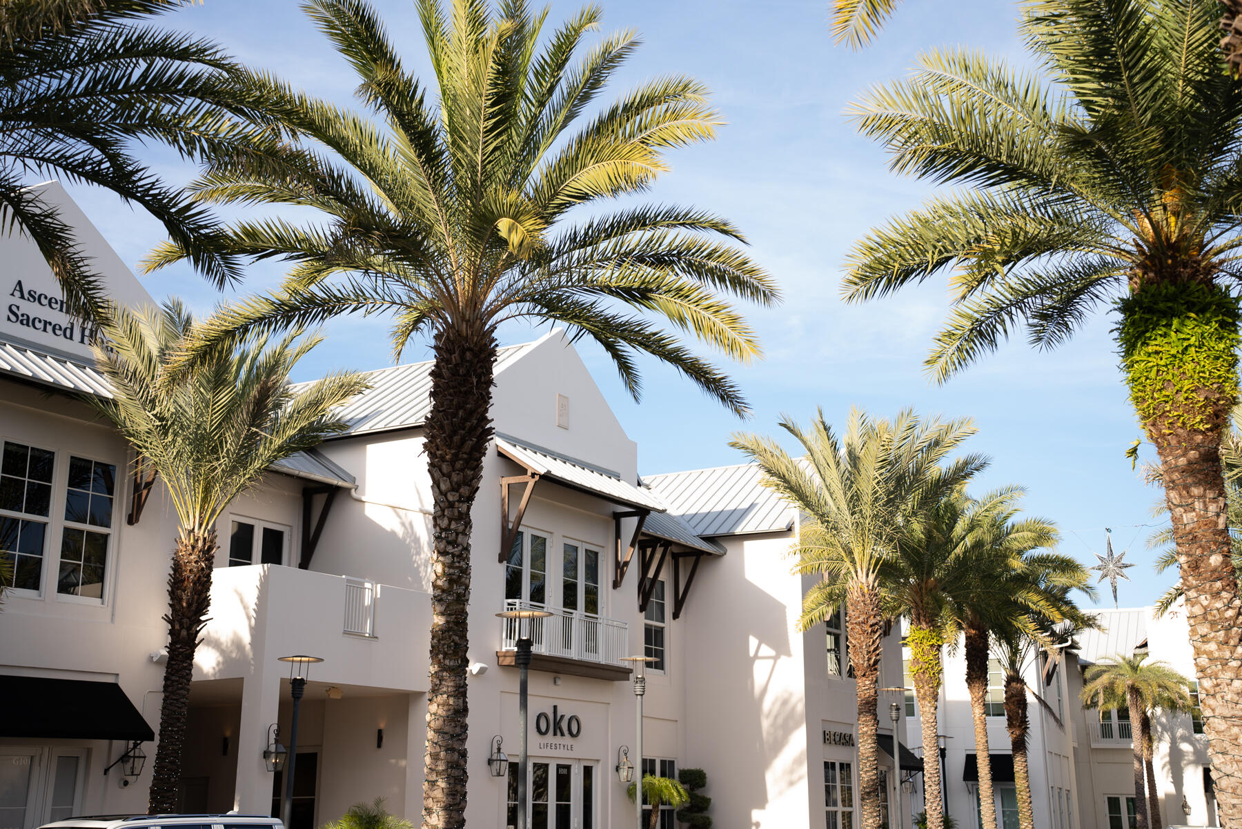 28 W Queen Palm Drive Inlet Beach FL 32461