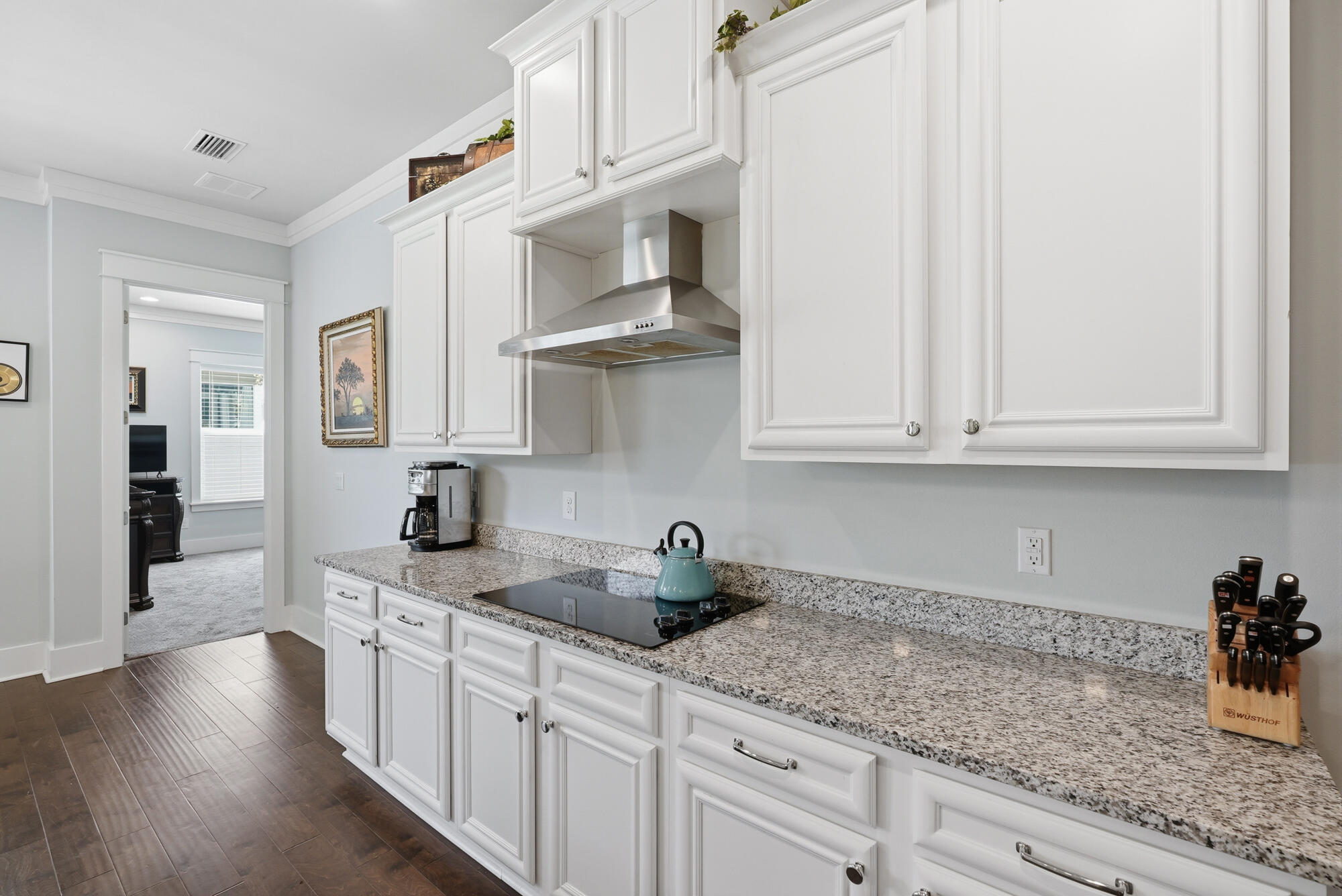 219 Blakely Drew Boulevard Santa Rosa Beach FL 32459
