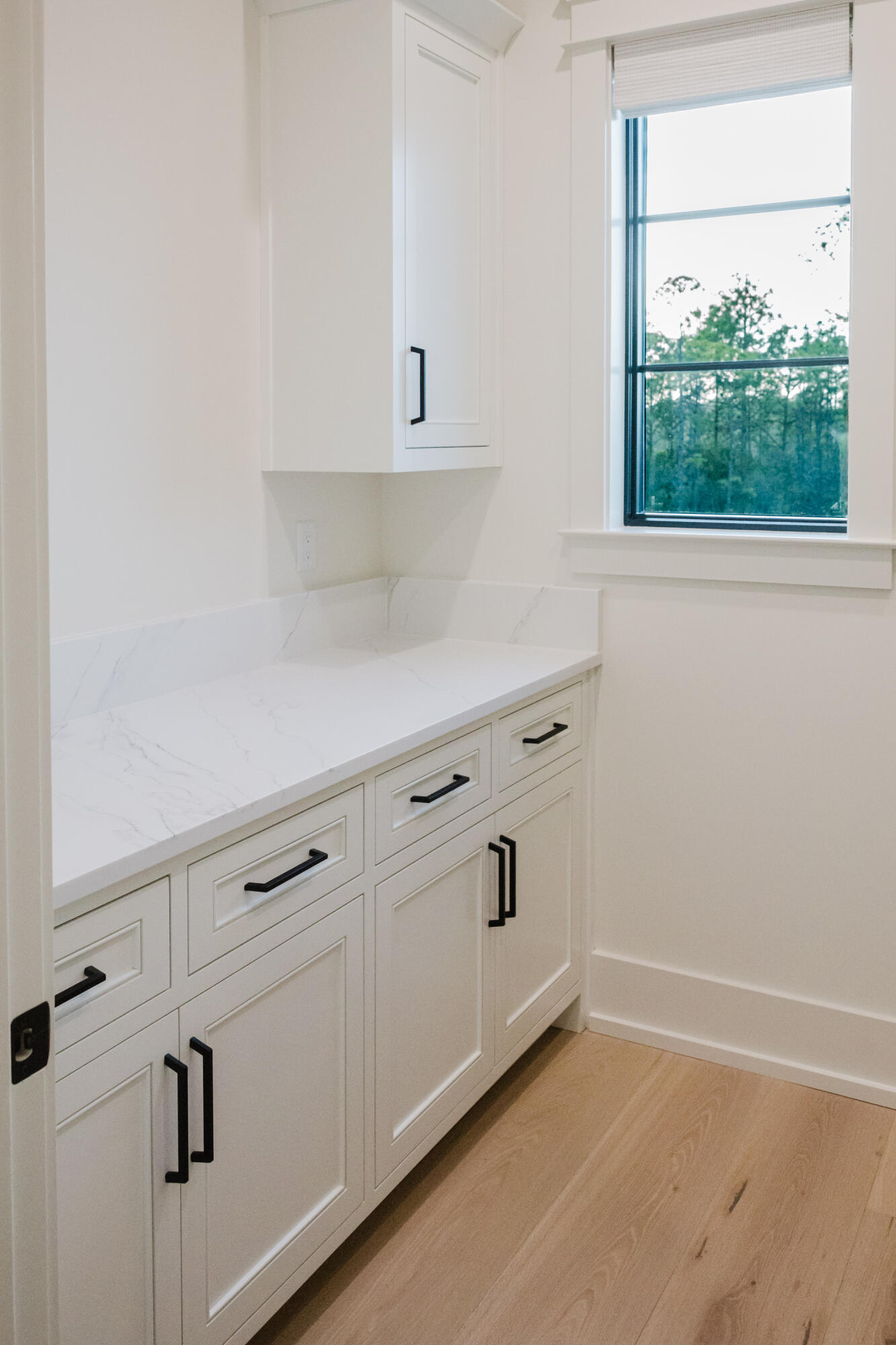 186 Windsong Drive Inlet Beach FL 32461