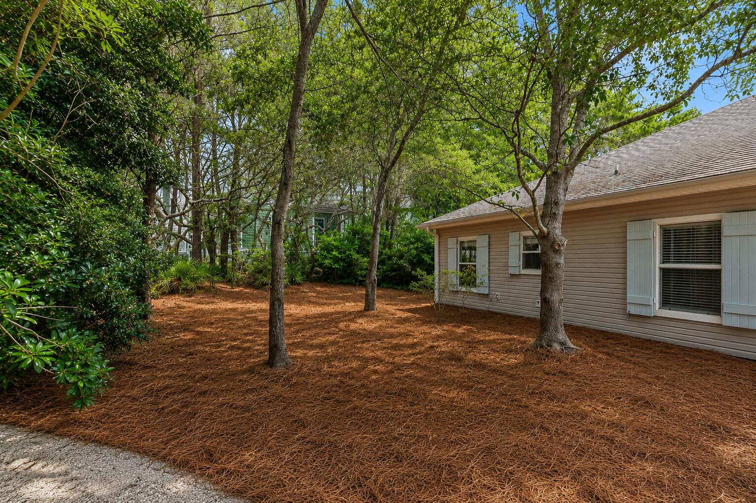 163 Brown Street Santa Rosa Beach FL 32459