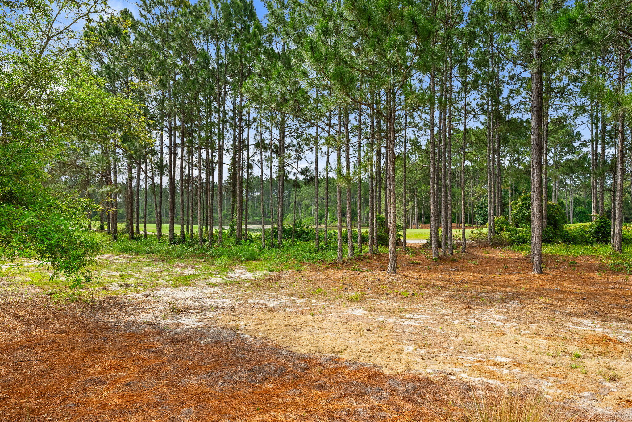 1532 Salamander Trail Panama City Beach FL 32413
