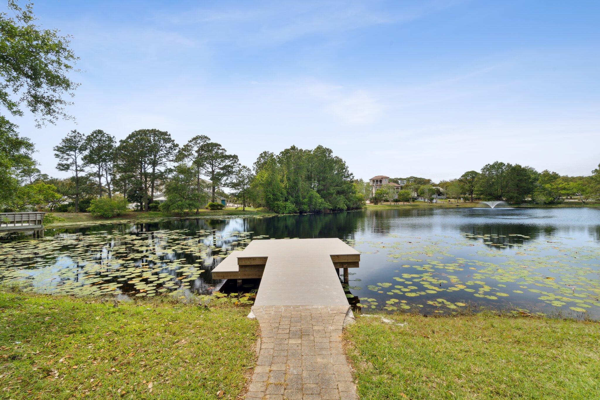 264 Lakeview Beach Drive Miramar Beach FL 32550