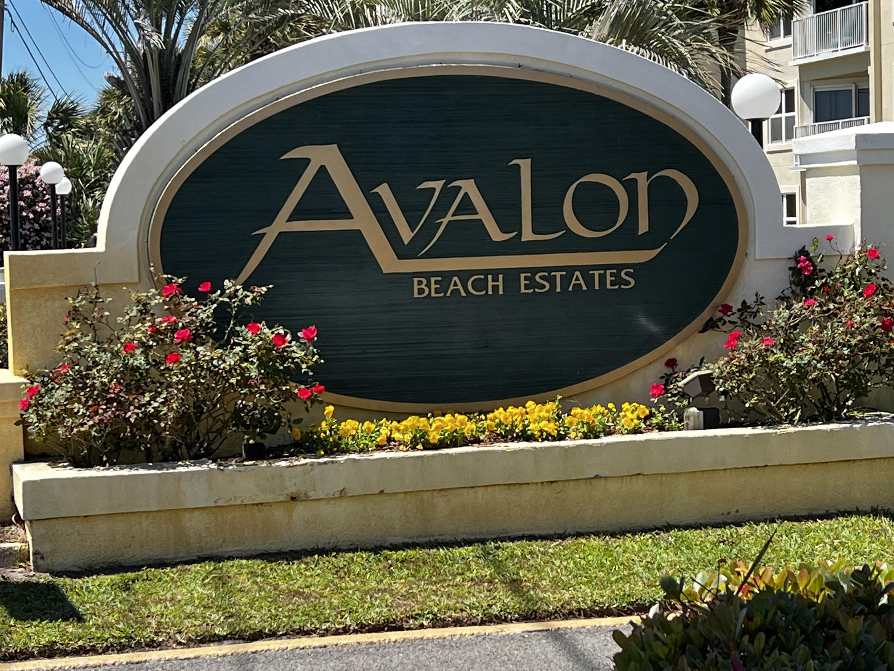 49 Sagris Cove Miramar Beach FL 32550