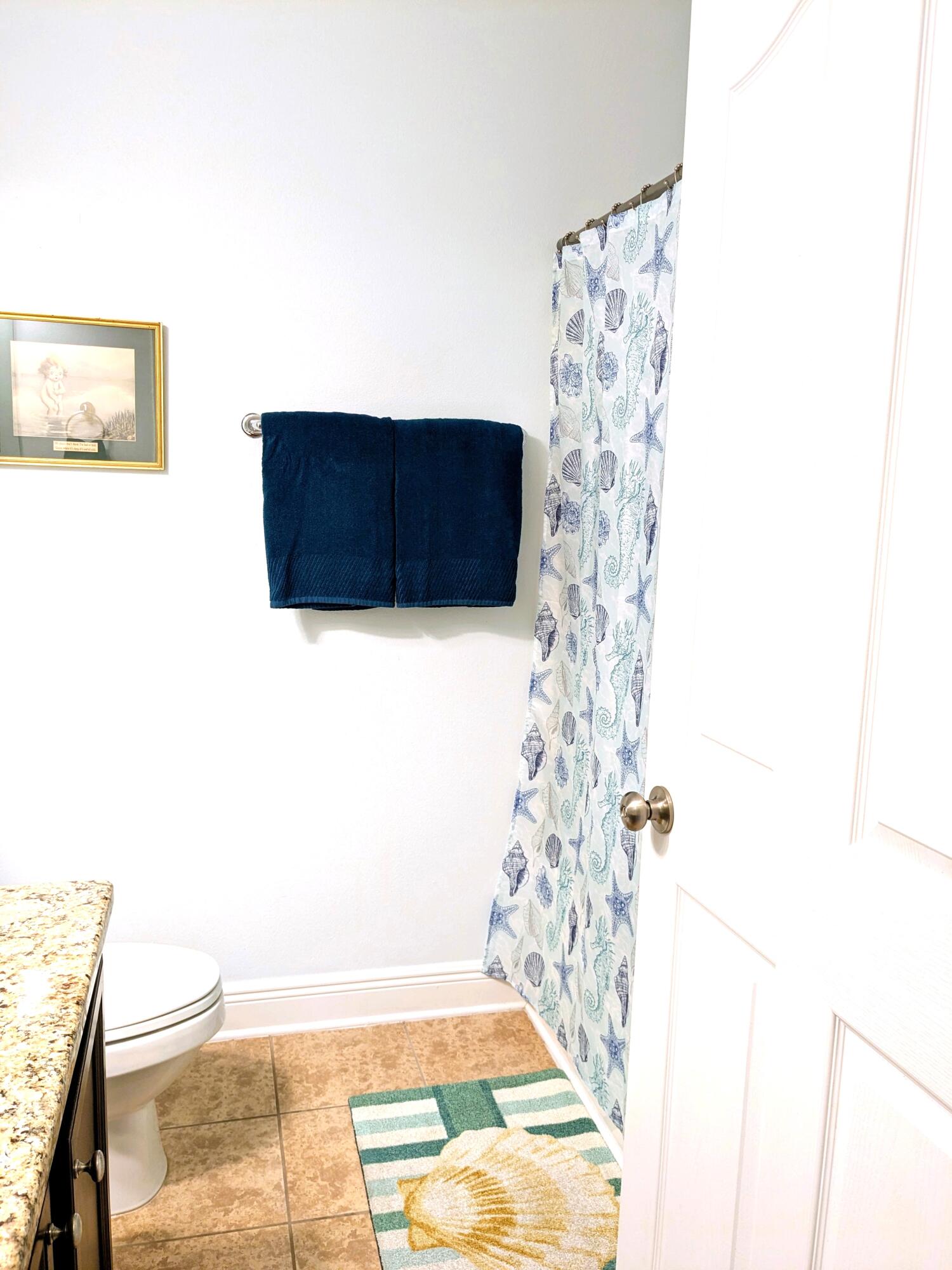 24 Riverbirch Loop Santa Rosa Beach FL 32459