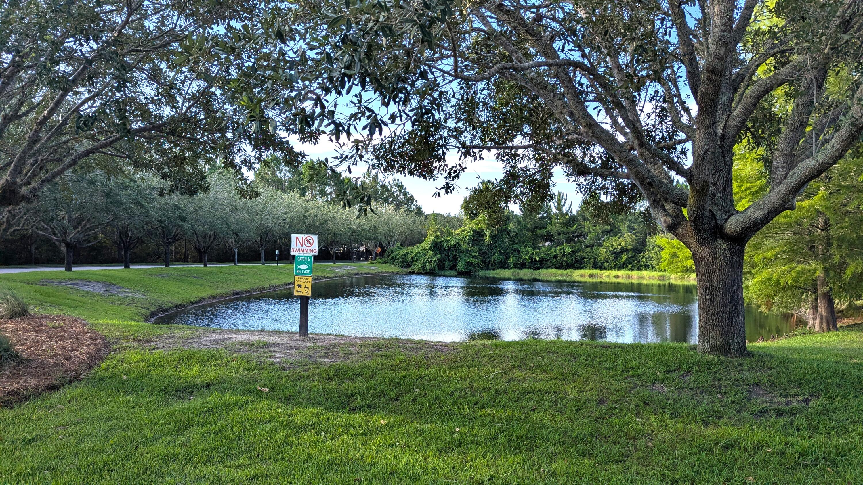 24 Riverbirch Loop Santa Rosa Beach FL 32459