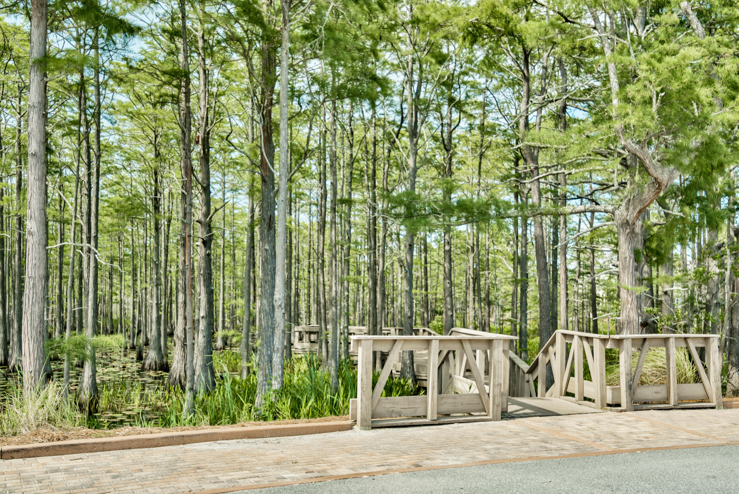 Lot 10 Cypress Drive Santa Rosa Beach FL 32459