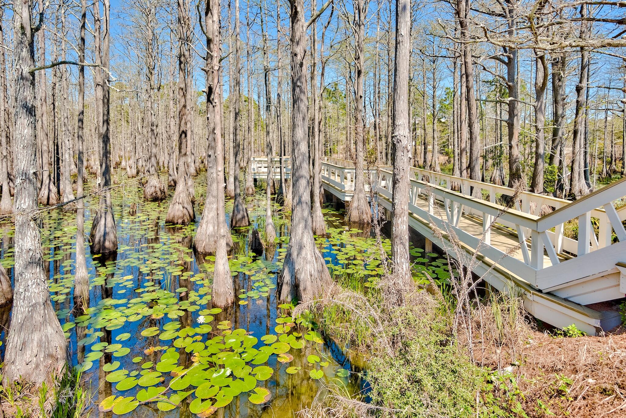 Lot 10 Cypress Drive Santa Rosa Beach FL 32459