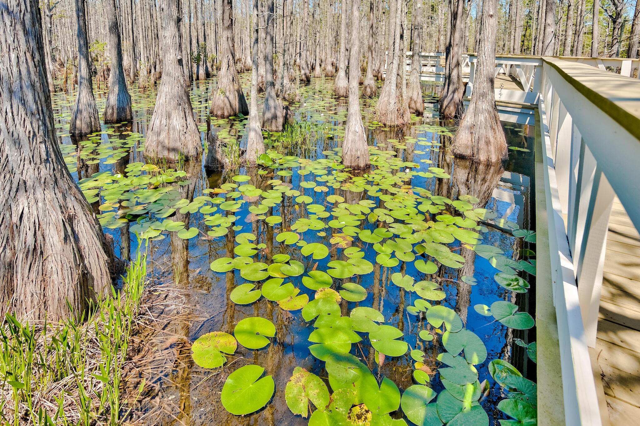 Lot 10 Cypress Drive Santa Rosa Beach FL 32459