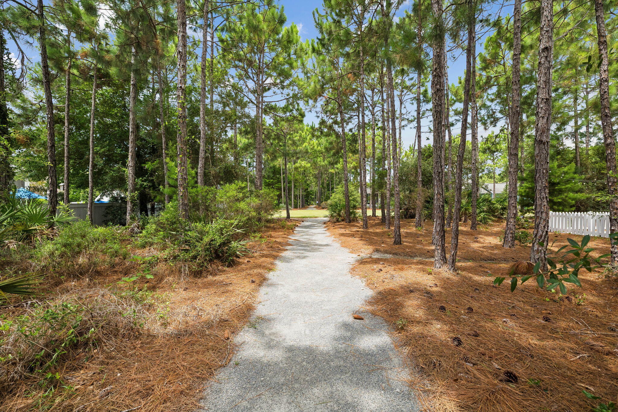 103 Jack Knife Drive Inlet Beach FL 32461