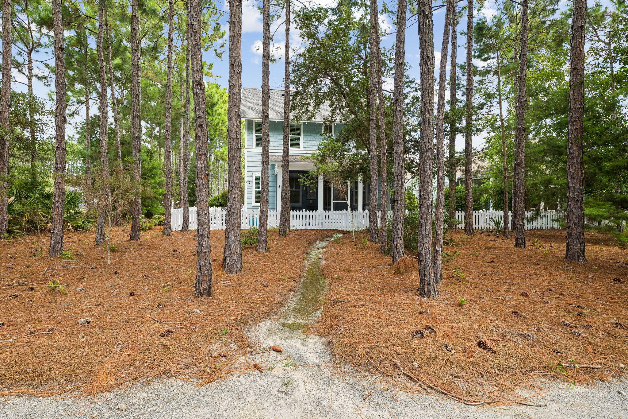103 Jack Knife Drive Inlet Beach FL 32461