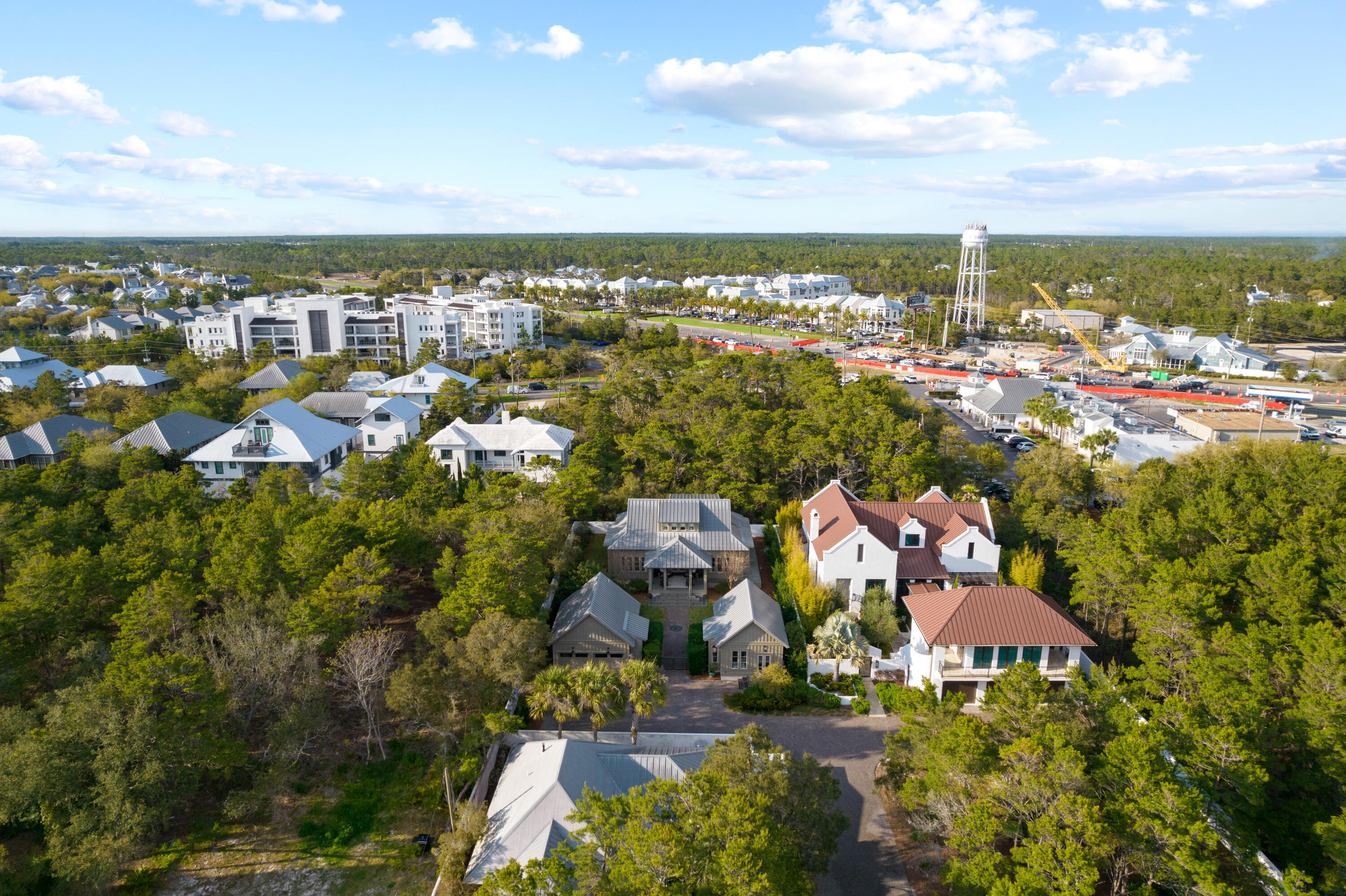 296 Walton Rose Lane Inlet Beach FL 32461