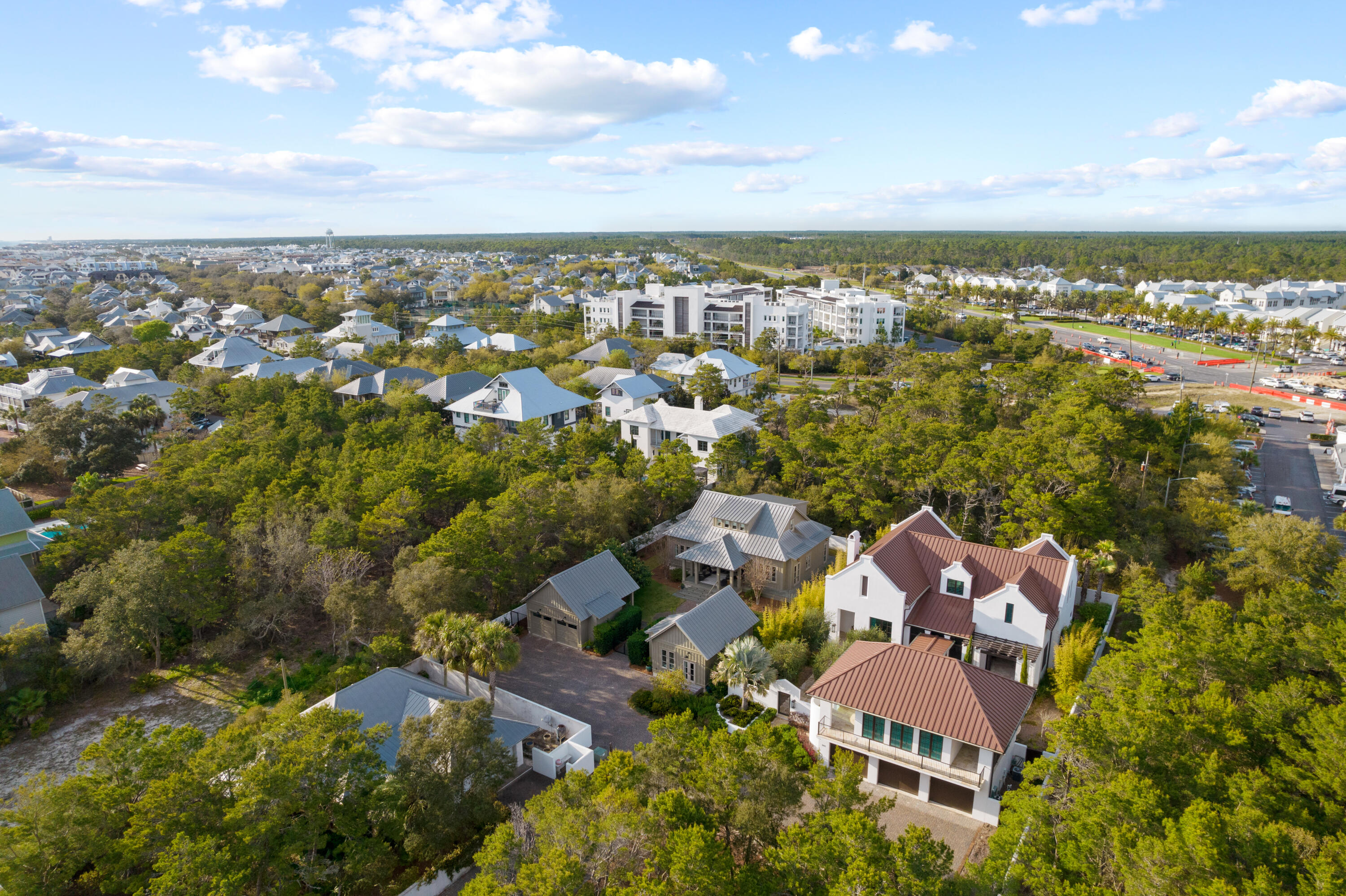 296 Walton Rose Lane Inlet Beach FL 32461