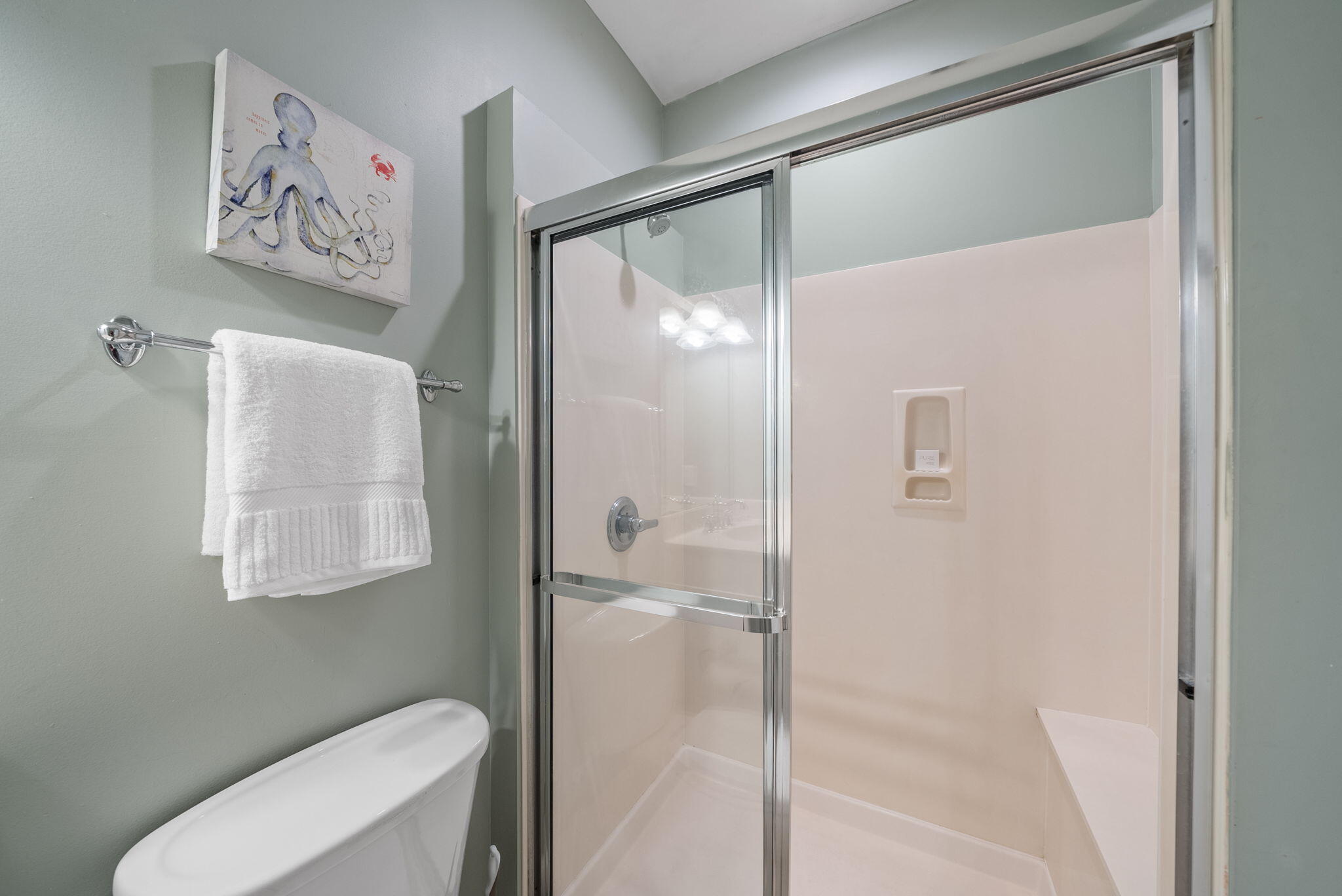 39 Thyme Street Santa Rosa Beach FL 32459