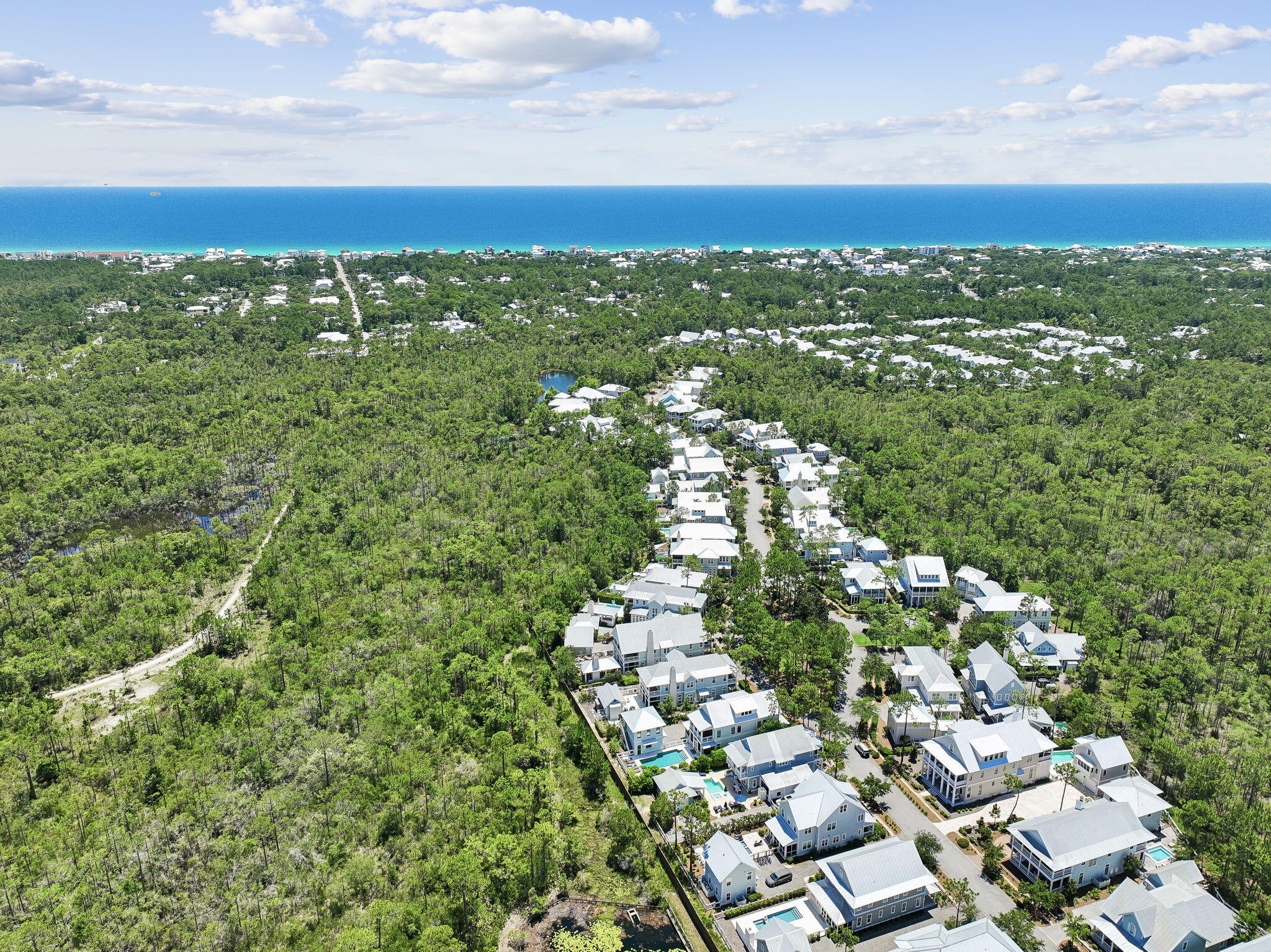 514 E Royal Fern Way Santa Rosa Beach FL 32459