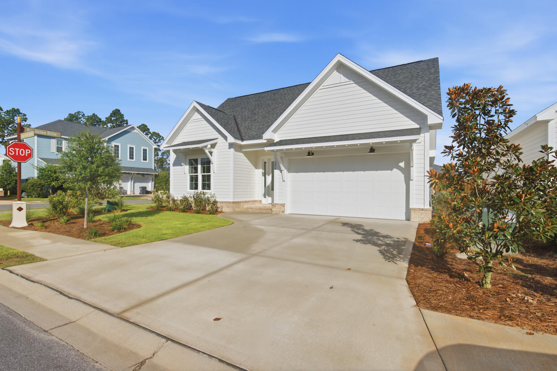 290 Green Heron Street Watersound FL 32461