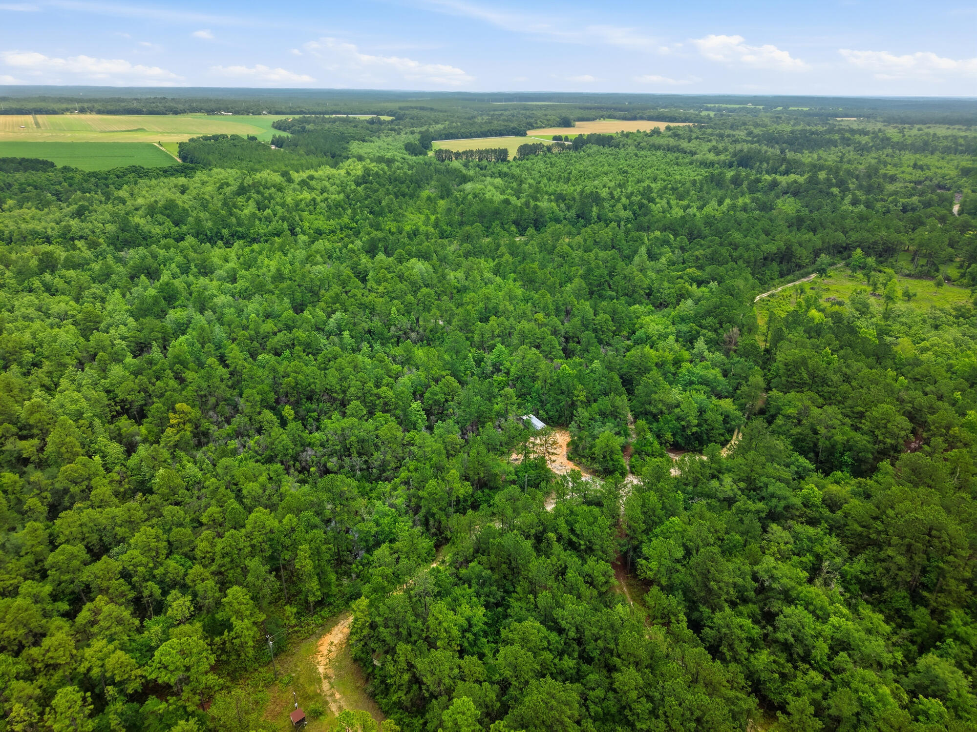 5450 Highway 393 Crestview FL 32539
