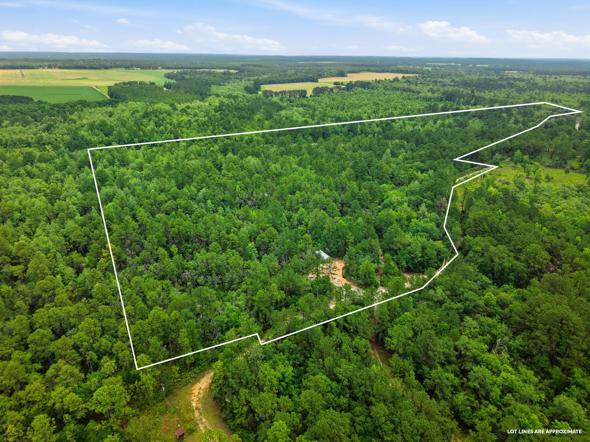 5450 Highway 393 Crestview FL 32539