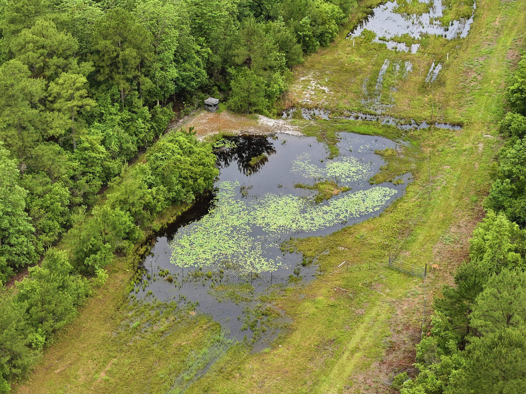 5450 Highway 393 Crestview FL 32539