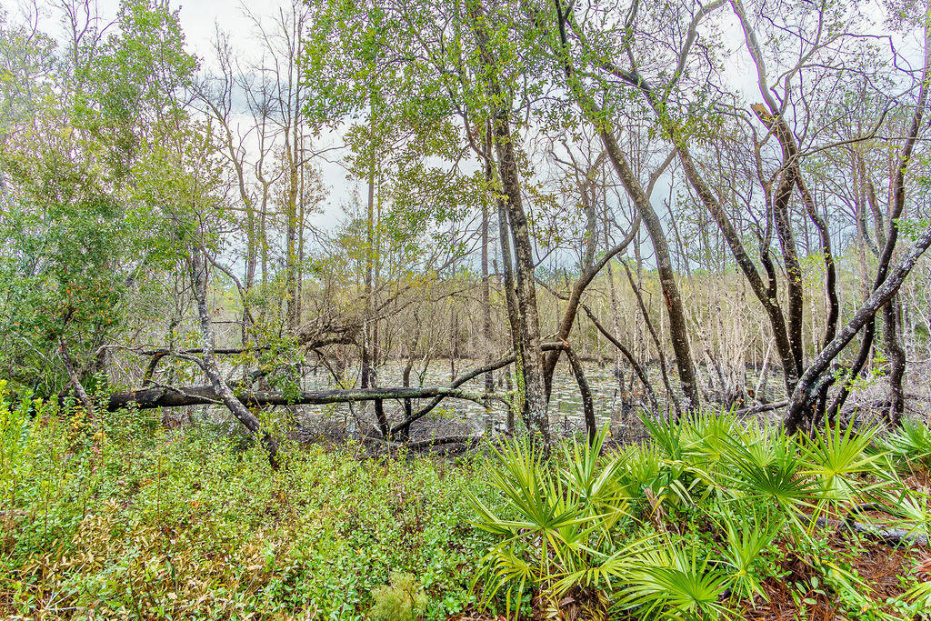 359 Wayne Trail Santa Rosa Beach FL 32459