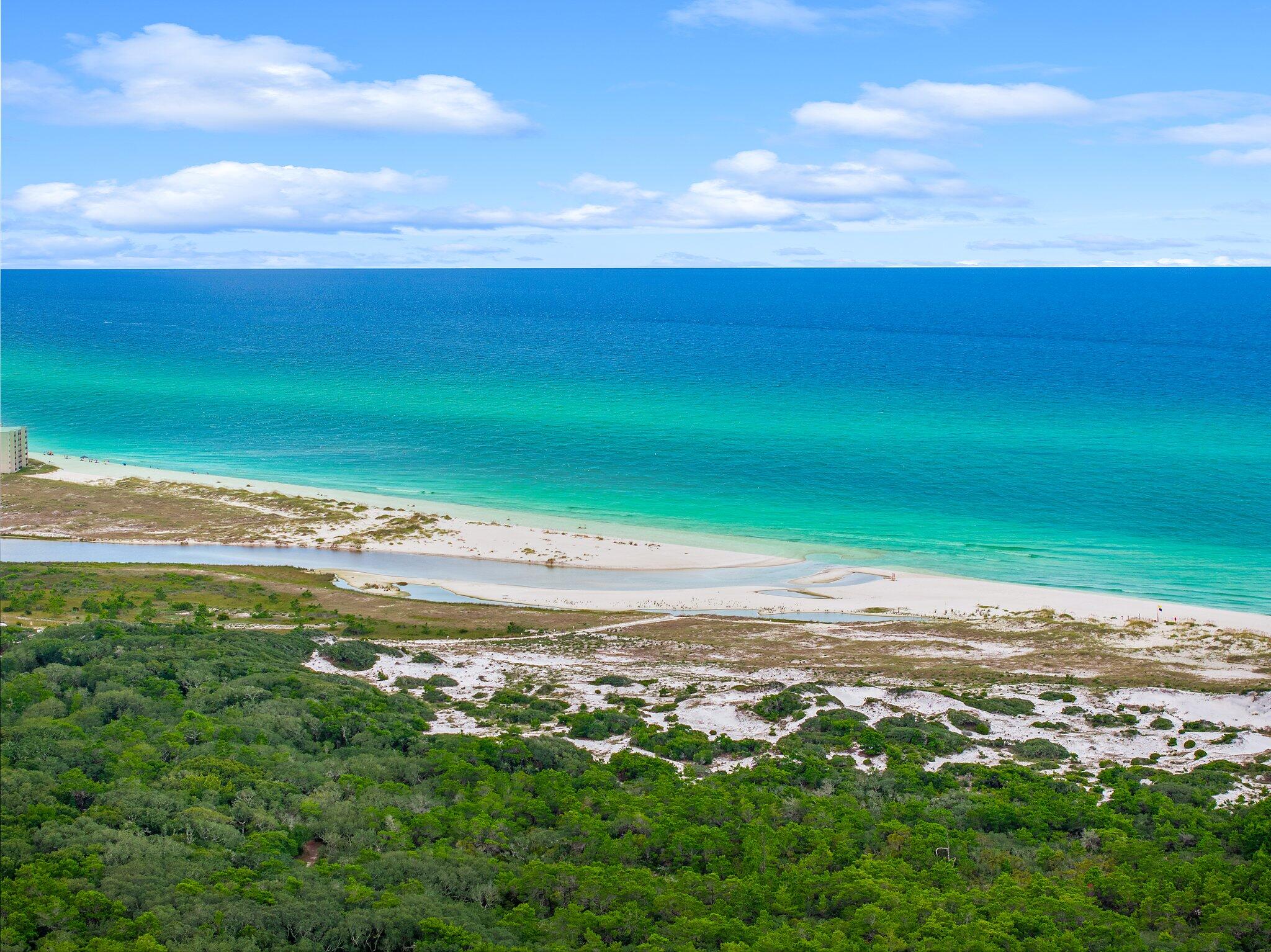 79 S Grande Pointe Drive Inlet Beach FL 32461