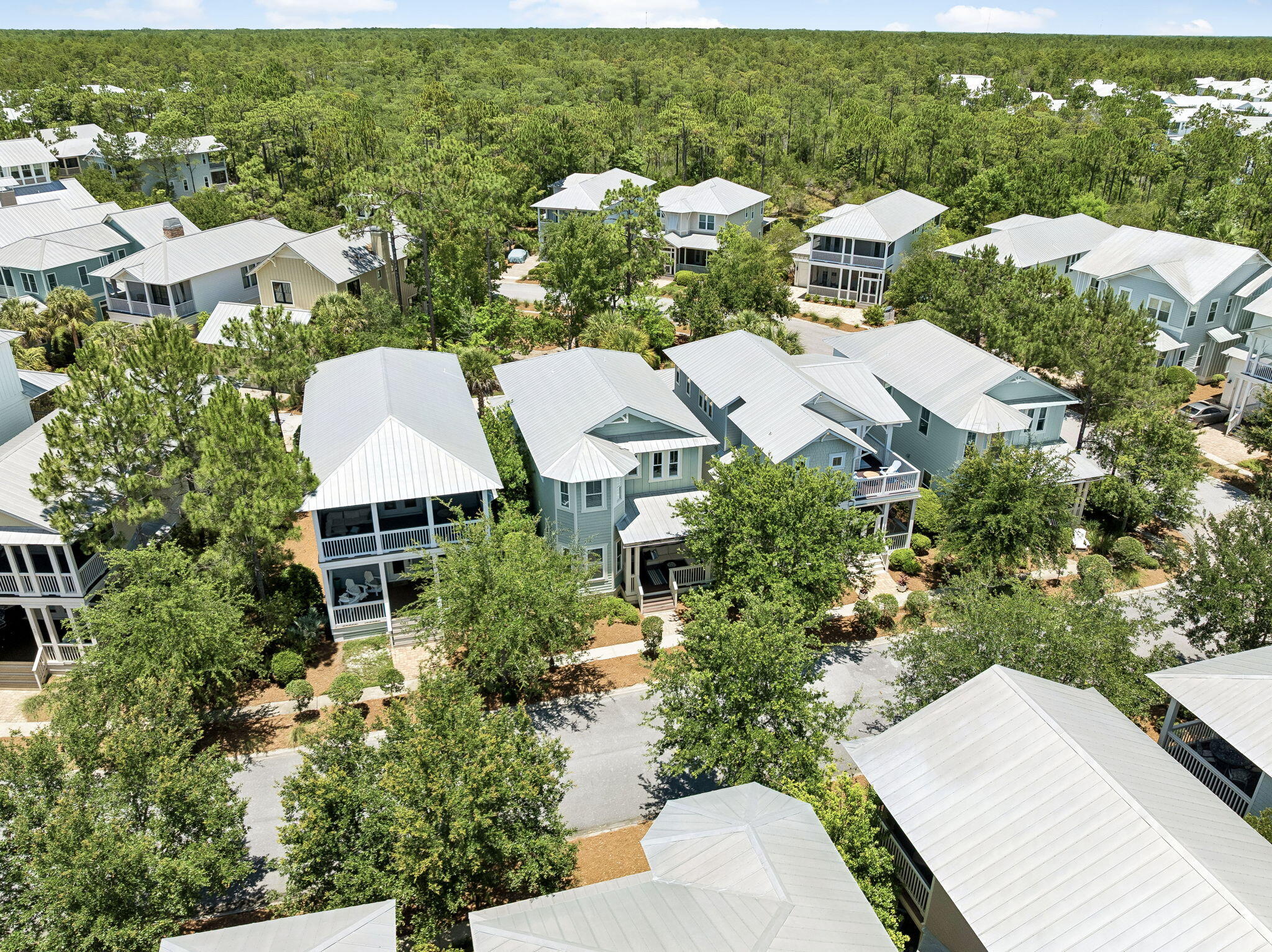 24 Cinnamon Fern Lane Santa Rosa Beach FL 32459