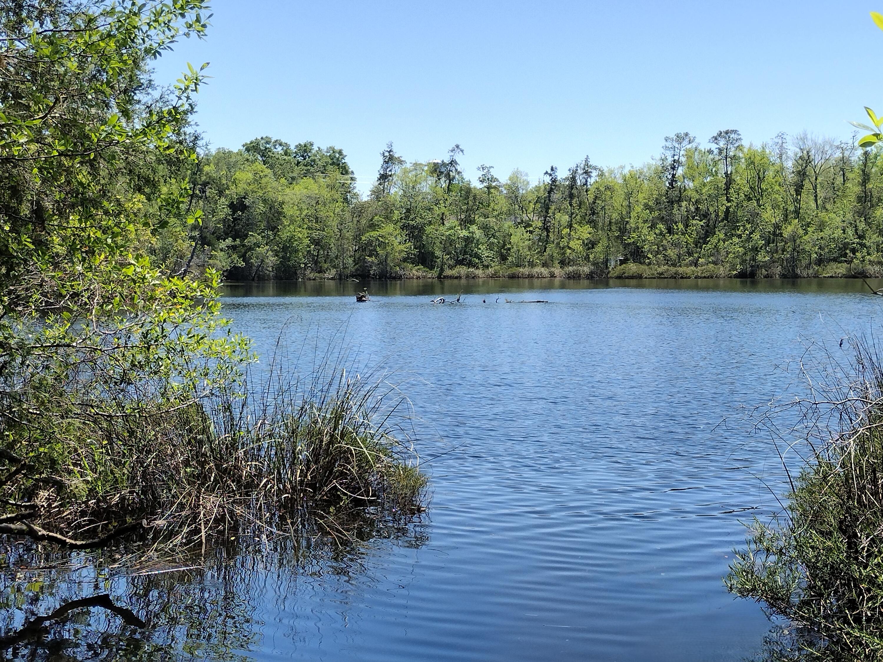 4611 Gunter Road Milton FL 32570