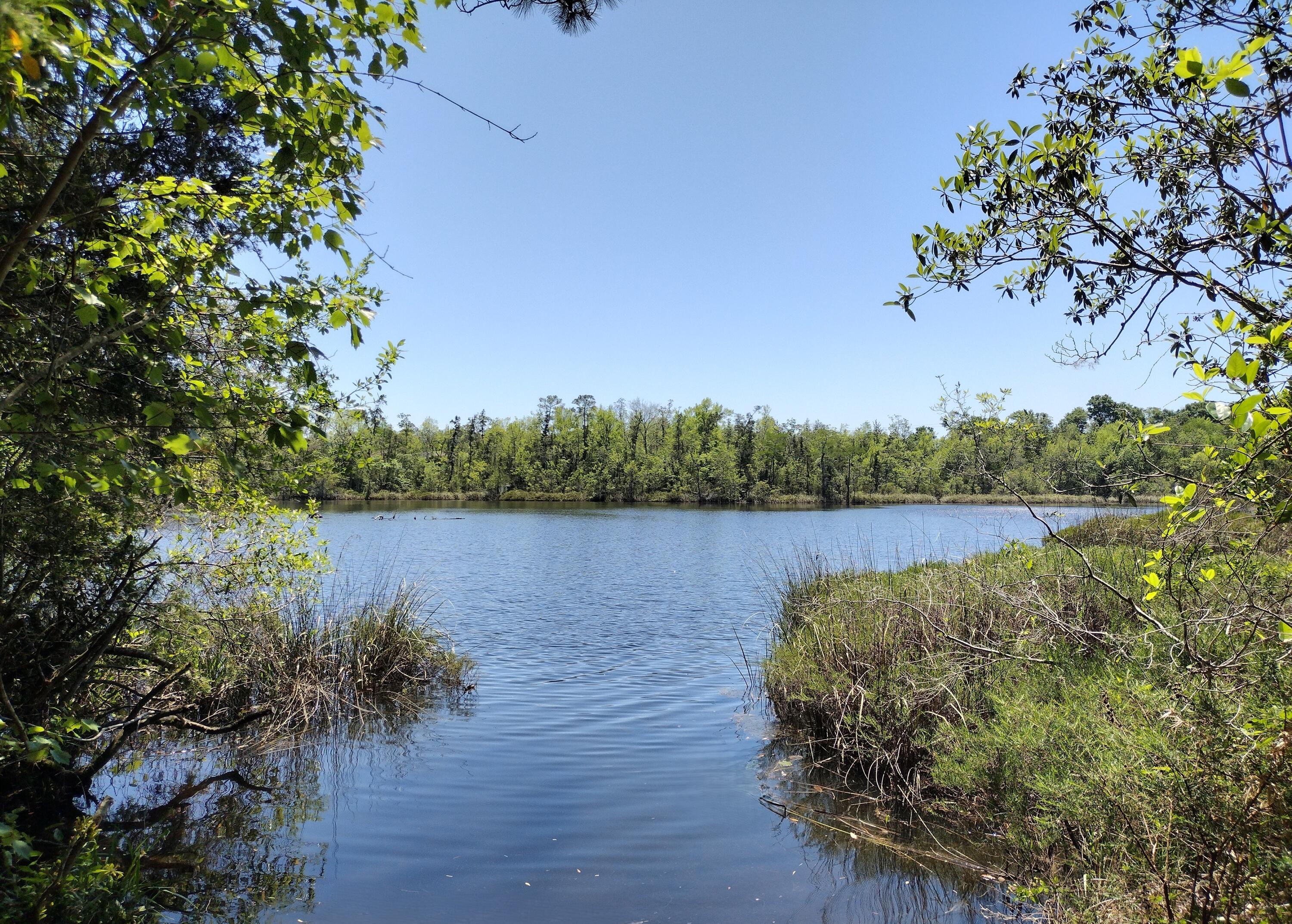 4611 Gunter Road Milton FL 32570