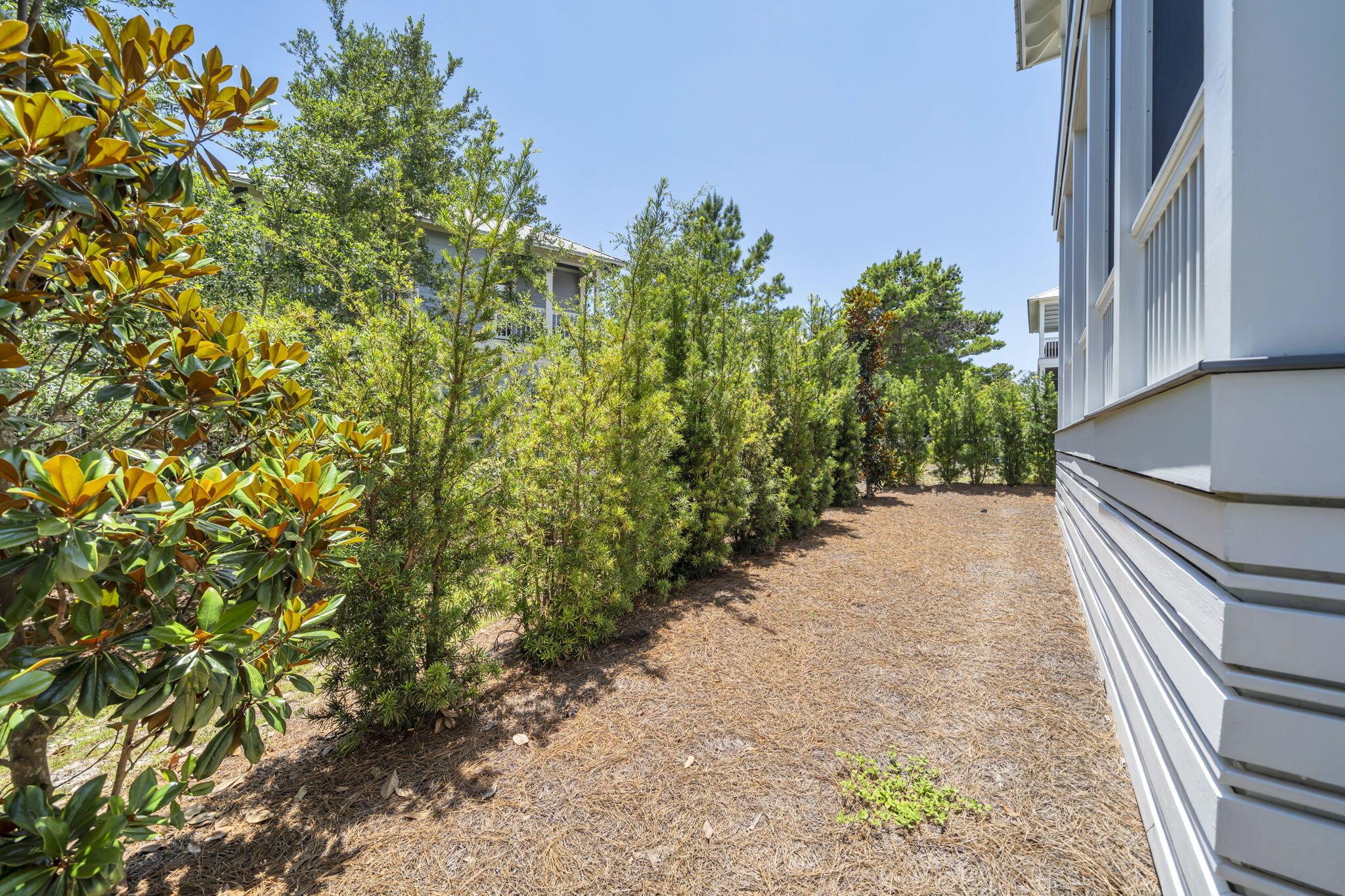 325 Morgans Trail Santa Rosa Beach FL 32459