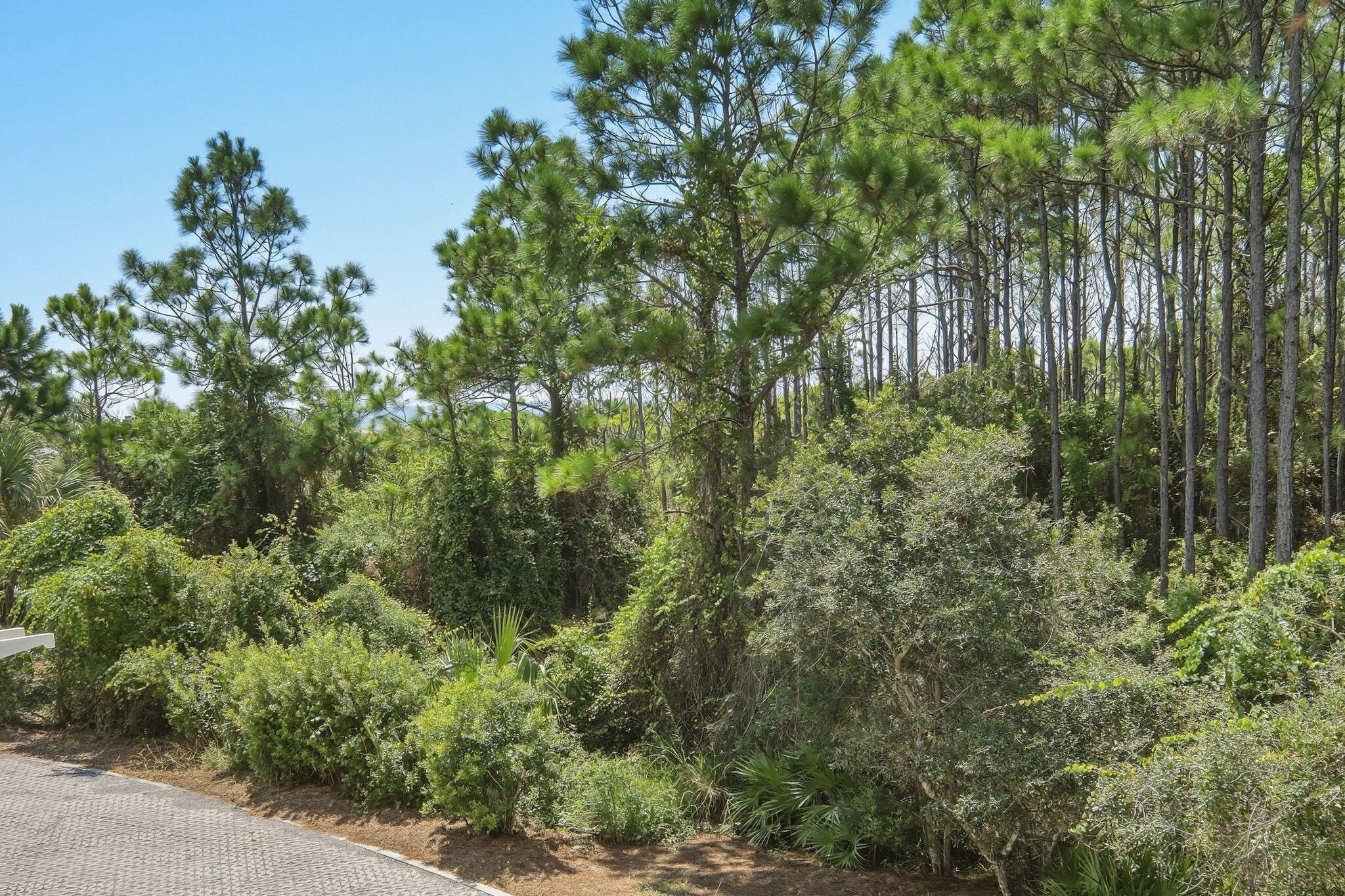 105 Park Row Lane Santa Rosa Beach FL 32459