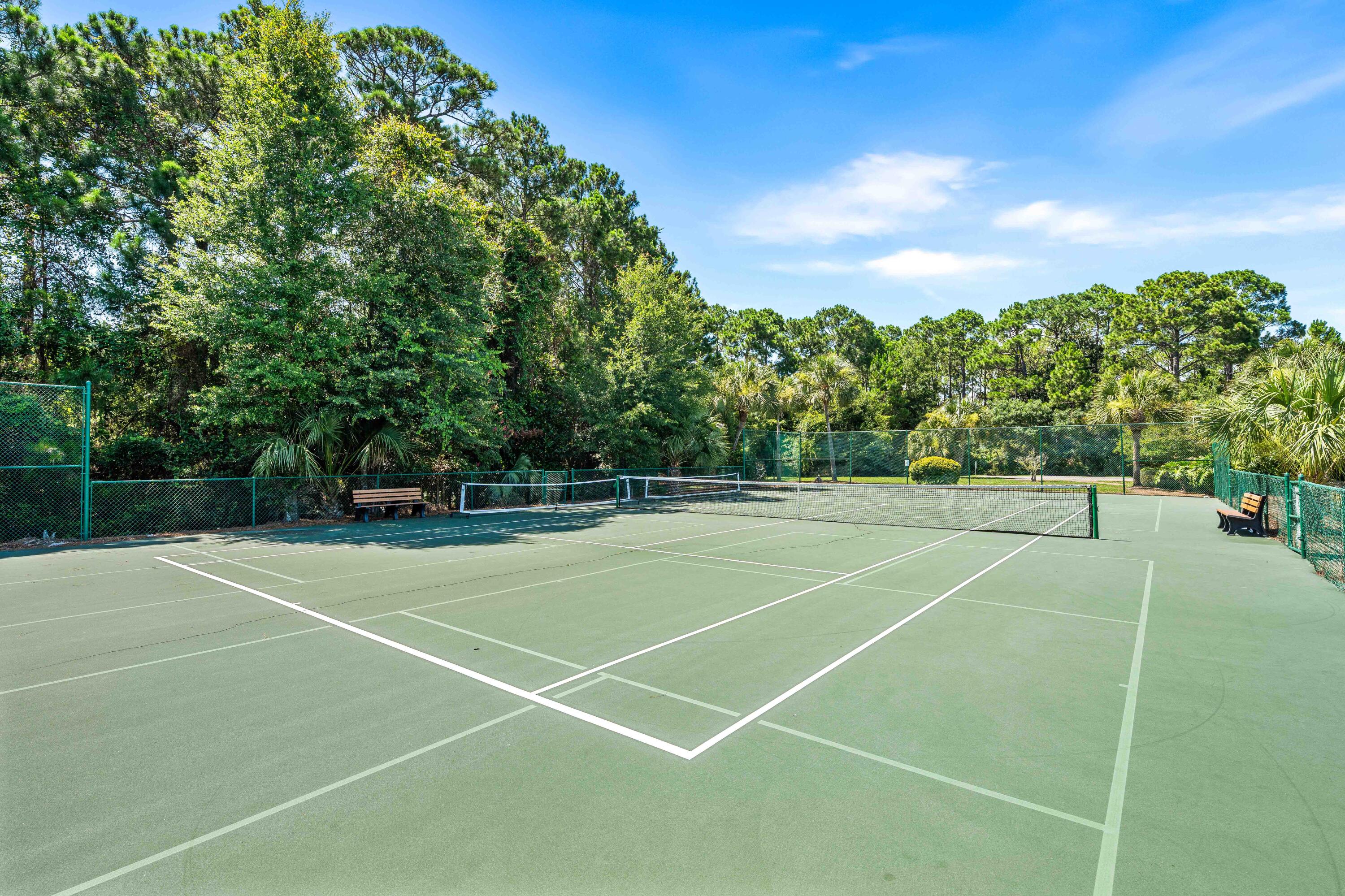 521 Shelter Cove Drive Santa Rosa Beach FL 32459