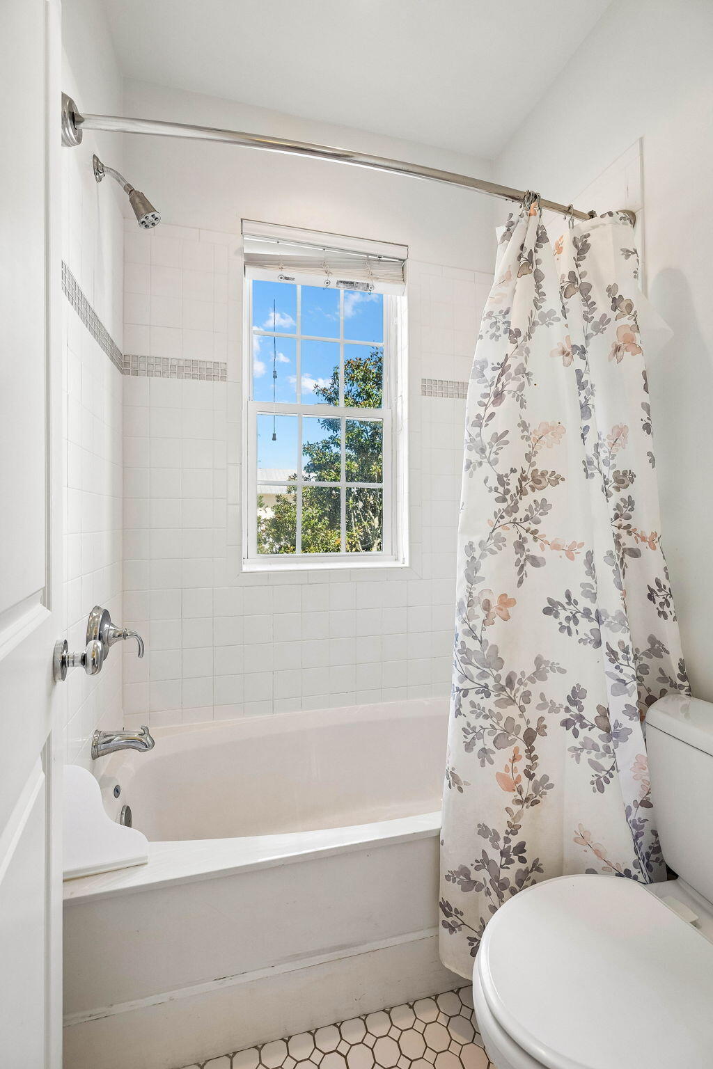 198 Botany Boulevard Santa Rosa Beach FL 32459
