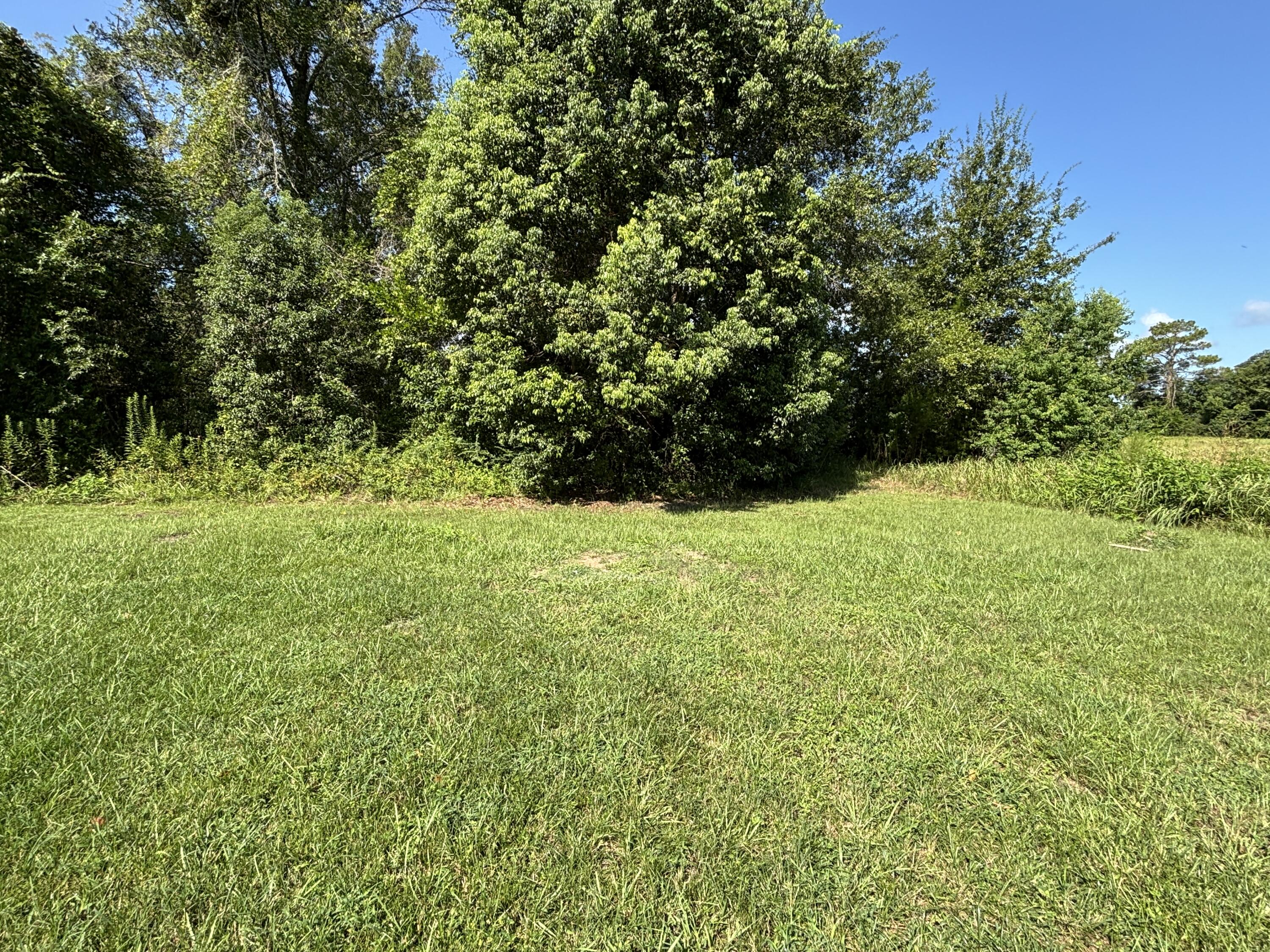 1607 Hwy 71 S Wewahitchka FL 32465