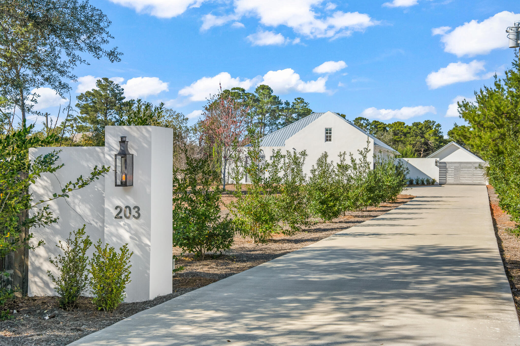 203 Carson Lane Inlet Beach FL 32461