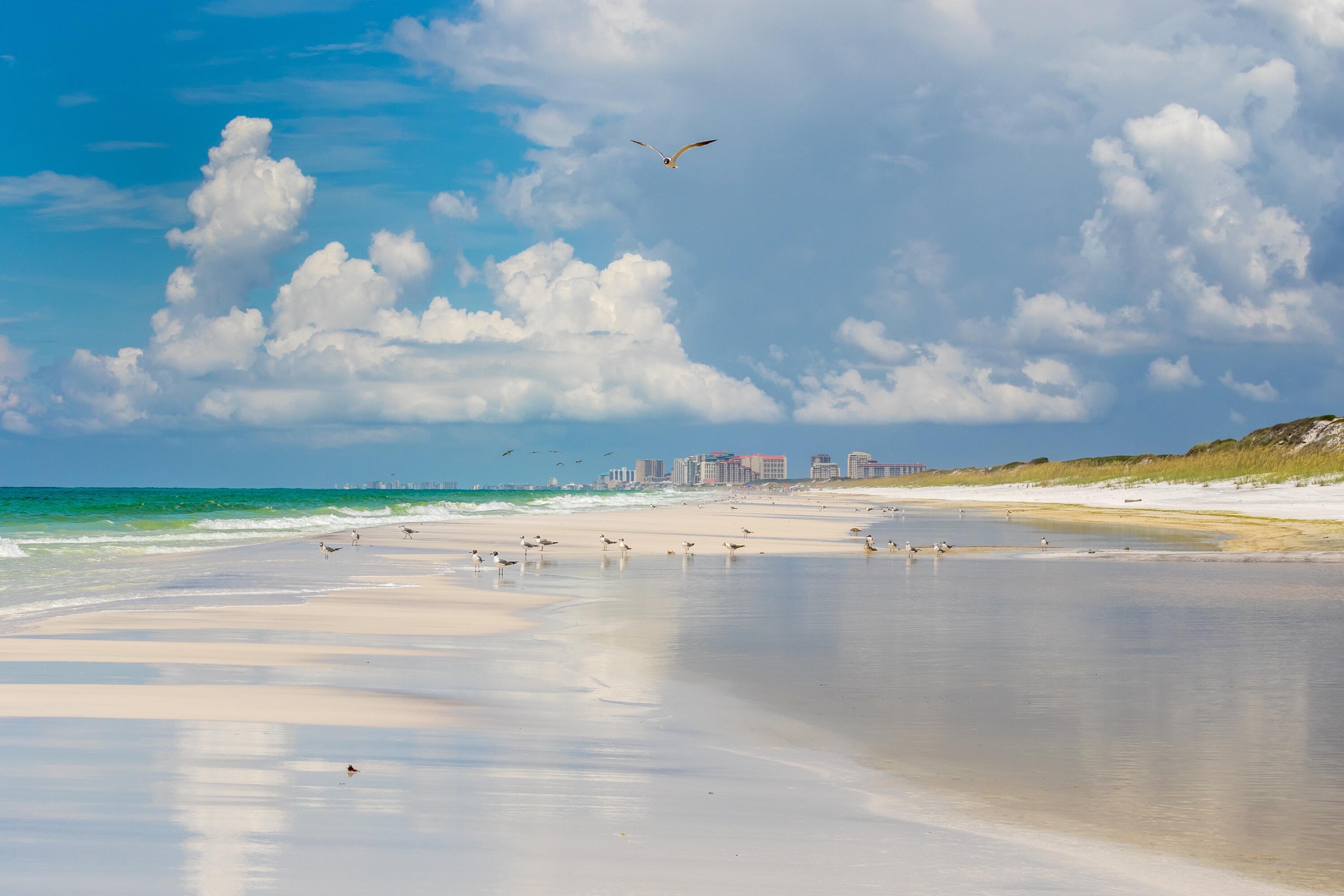 247 N Bishop Road Santa Rosa Beach FL 32459