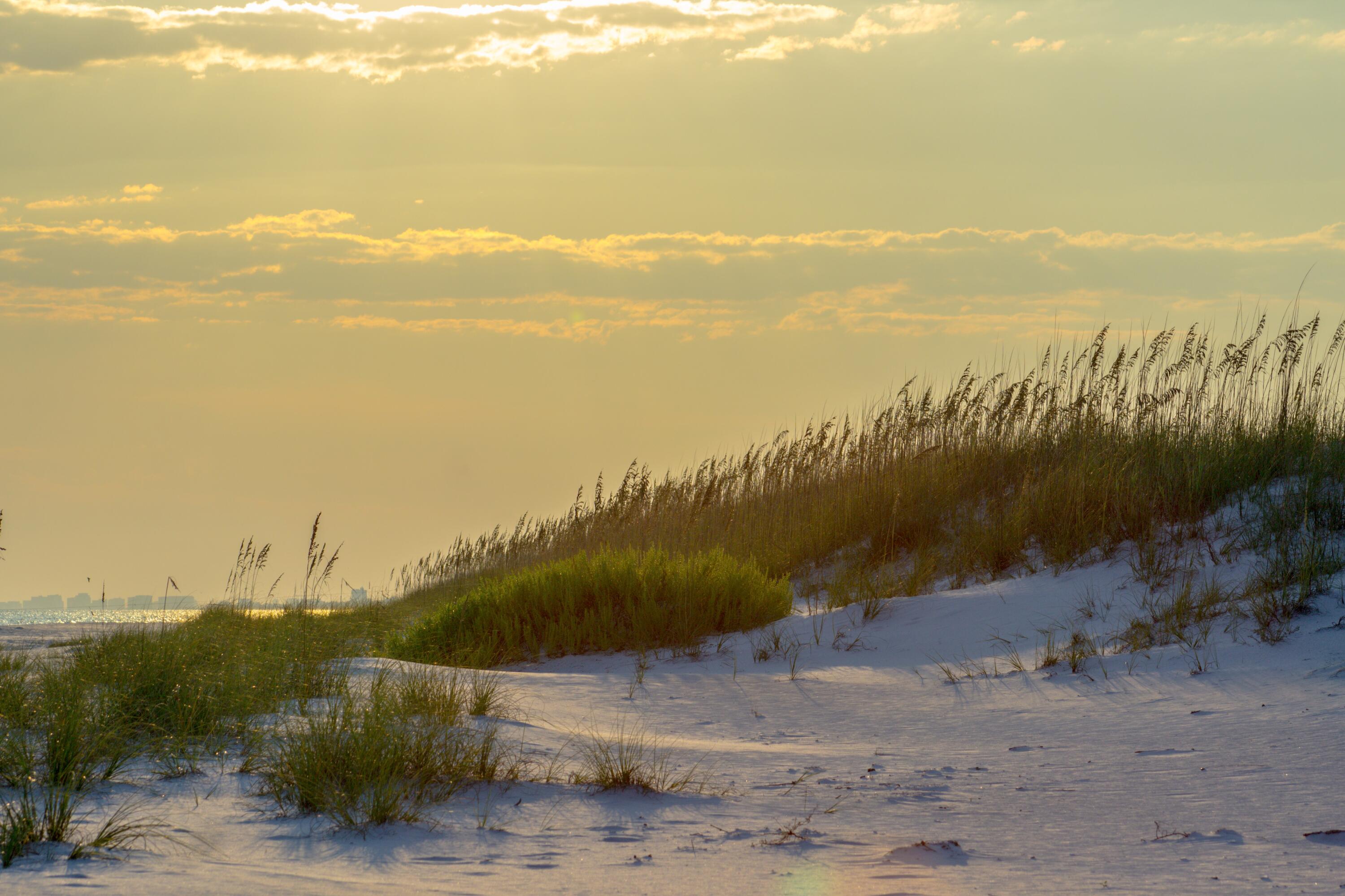 247 N Bishop Road Santa Rosa Beach FL 32459