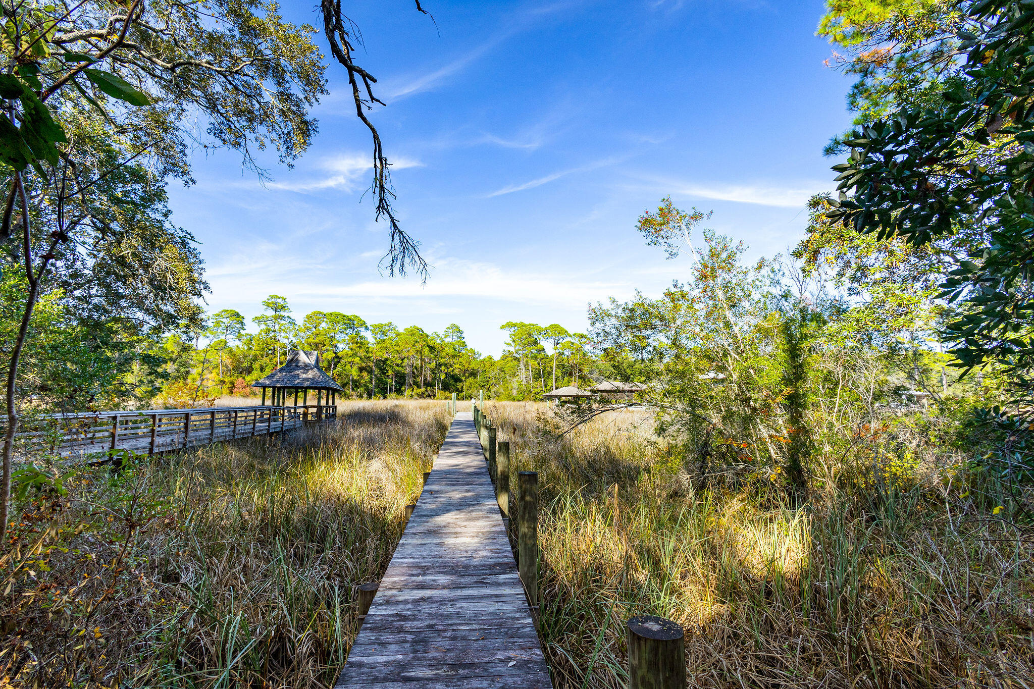 988 N Walton Lakeshore Drive Inlet Beach FL 32461