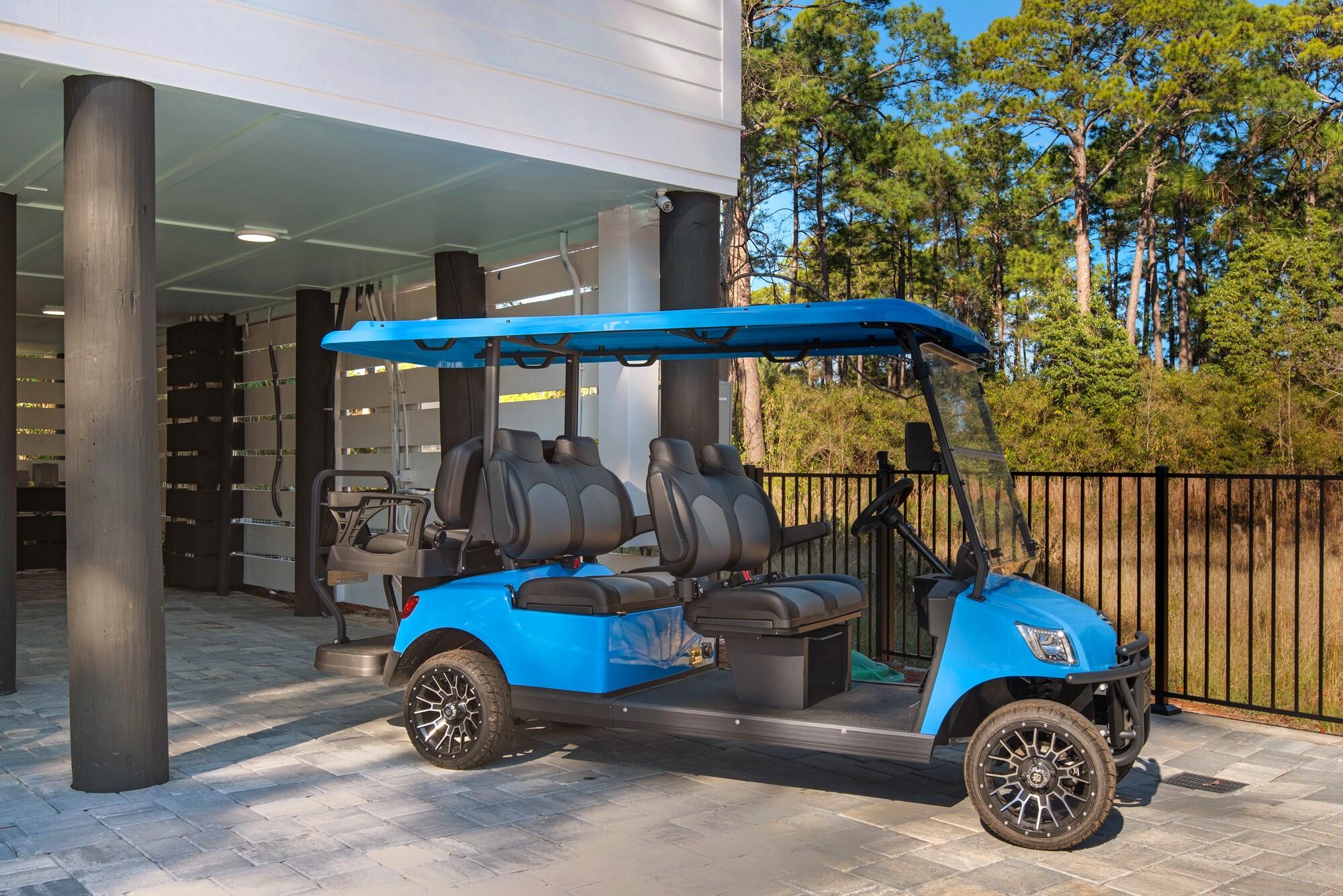 255 E Seahorse Circle Santa Rosa Beach FL 32459