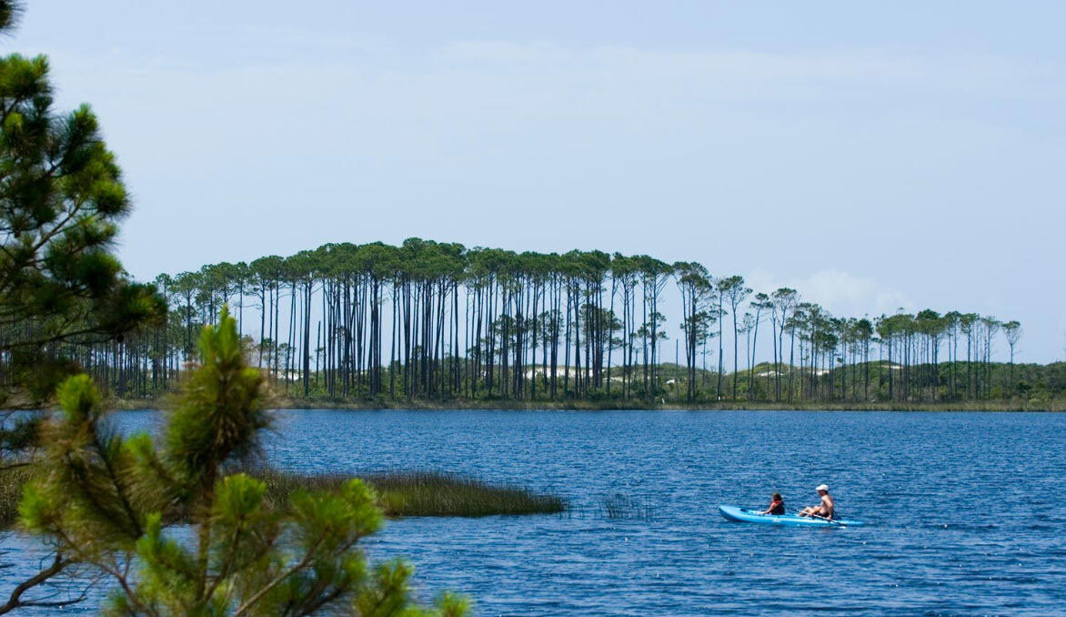 255 E Seahorse Circle Santa Rosa Beach FL 32459