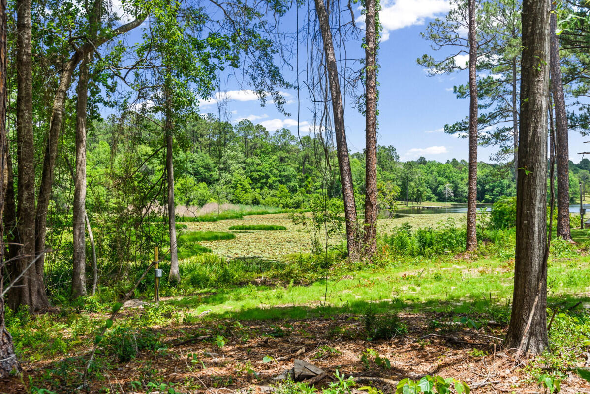 699 Pinewood Drive Defuniak Springs FL 32433