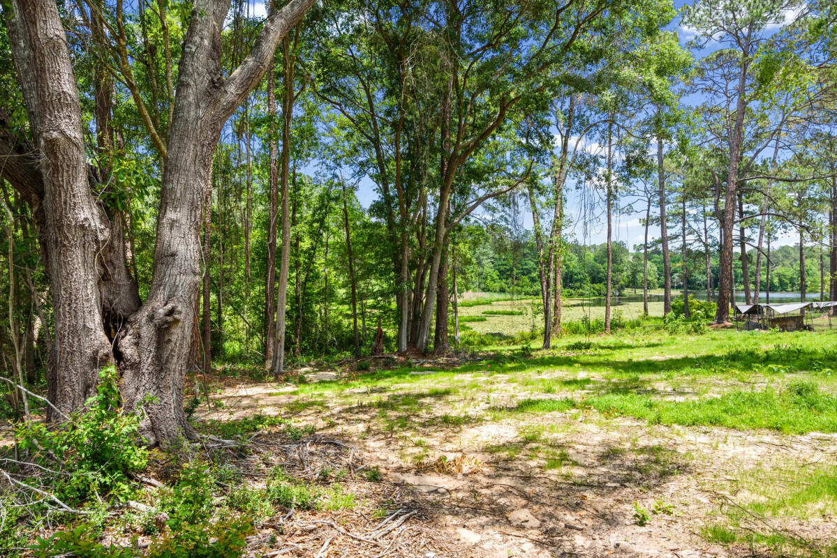 699 Pinewood Drive Defuniak Springs FL 32433