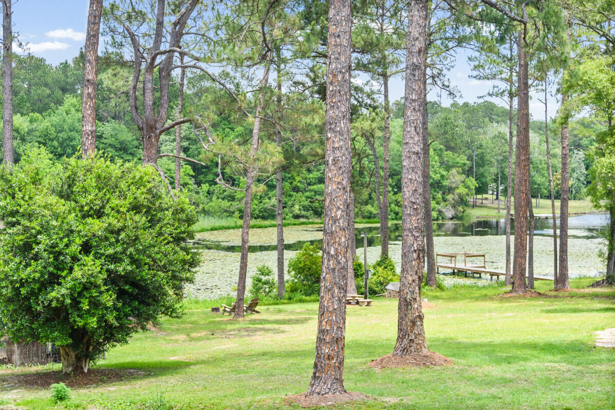 699 Pinewood Drive Defuniak Springs FL 32433