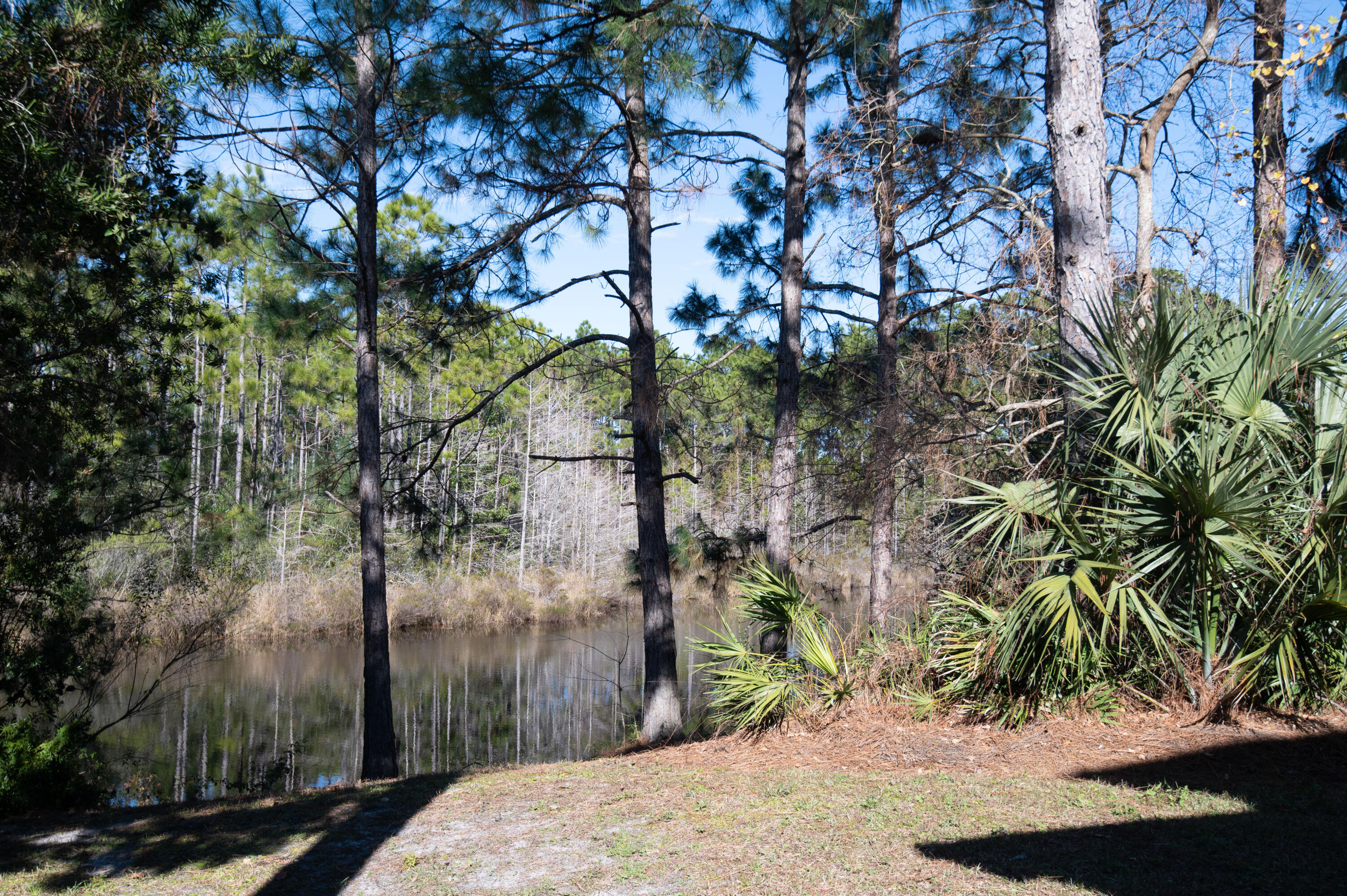 407 Calle Escada Santa Rosa Beach FL 32459