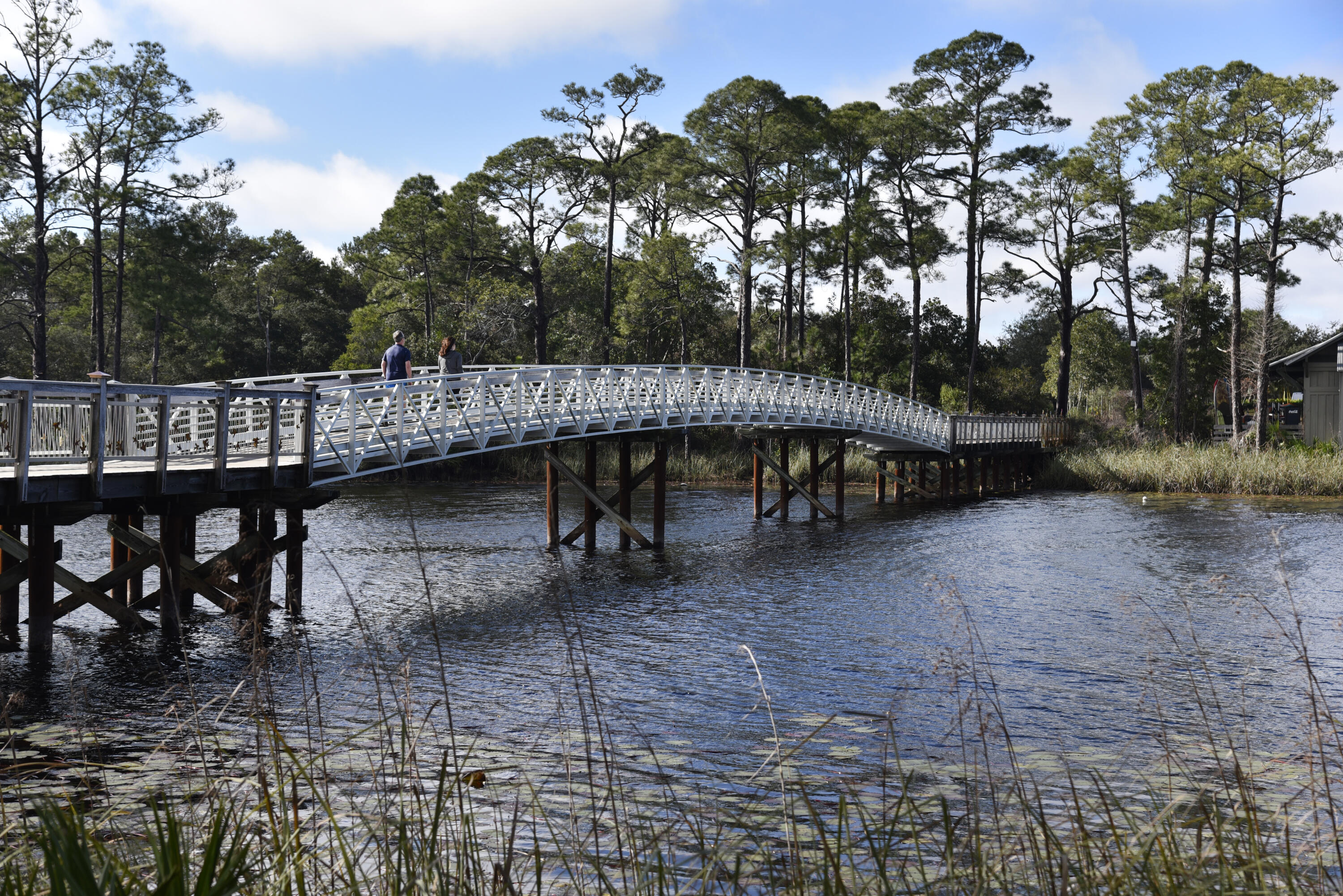125 Silver Laurel Way Santa Rosa Beach FL 32459