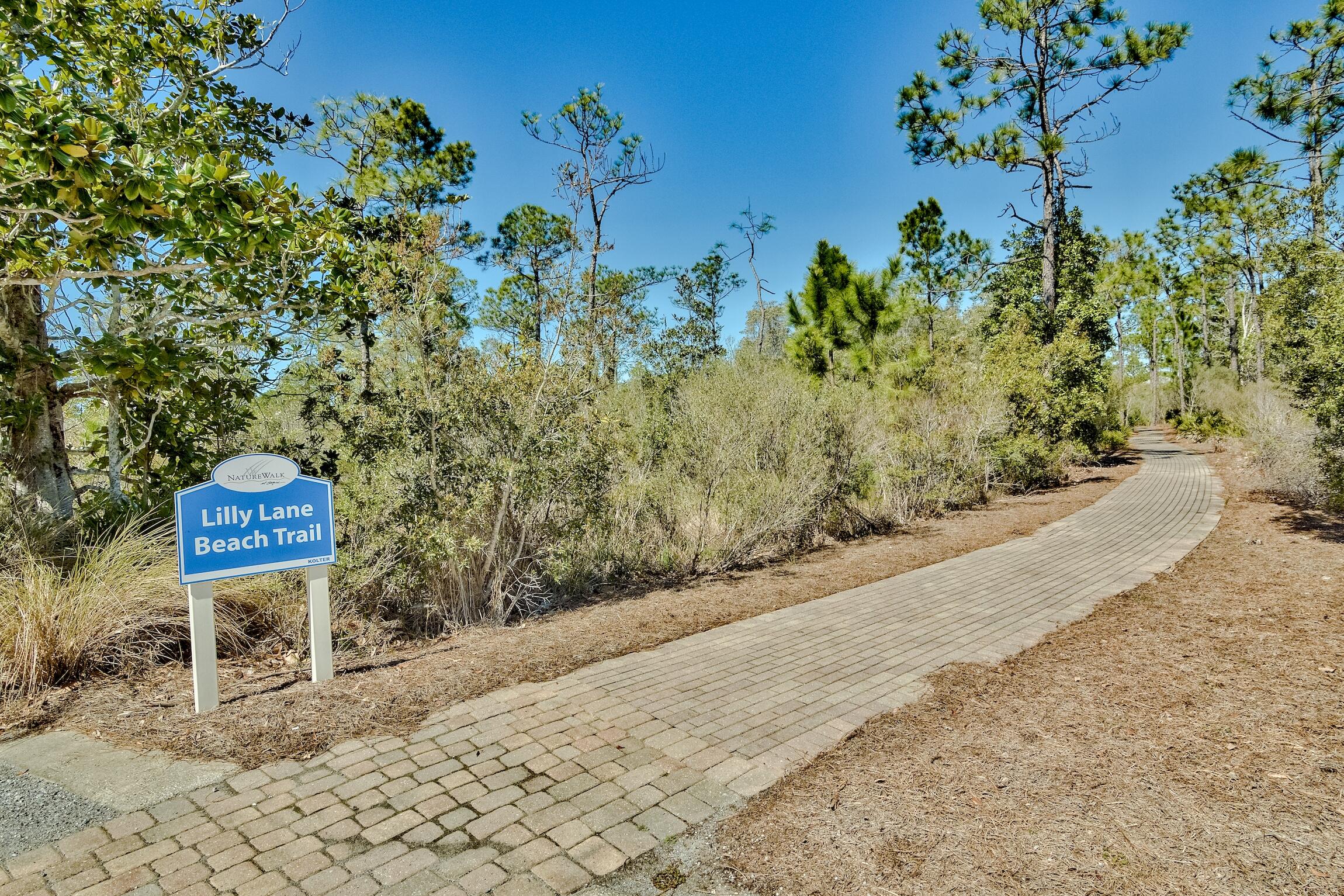 268 Flatwoods Forest Loop Santa Rosa Beach FL 32459