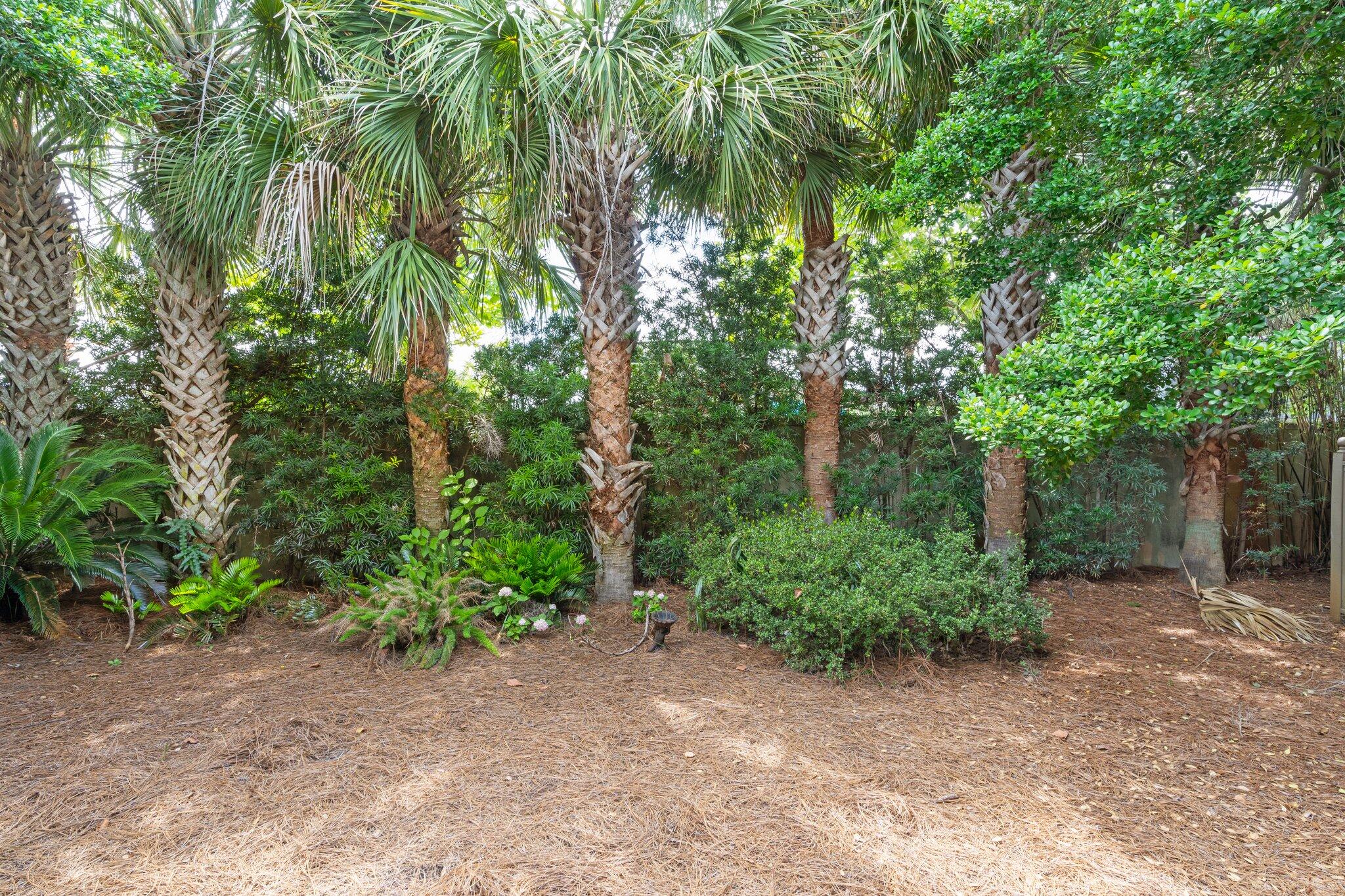 176 Rue Martine Miramar Beach FL 32550