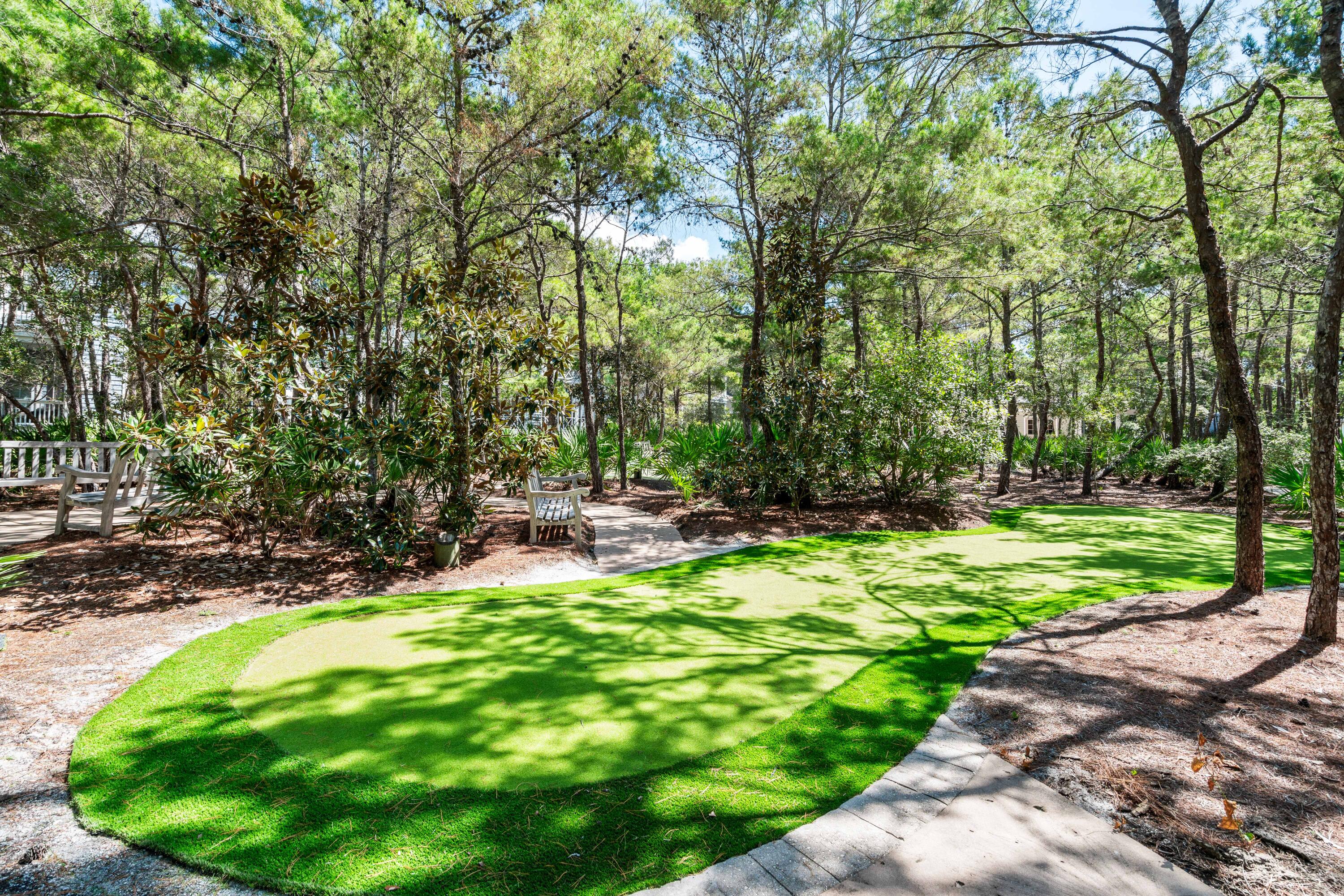 10 Coopersmith Lane Inlet Beach FL 32461